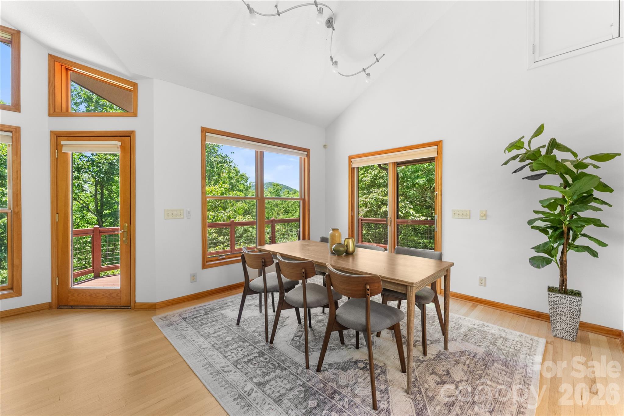 350 Winding Ridge Road — Black Mountain