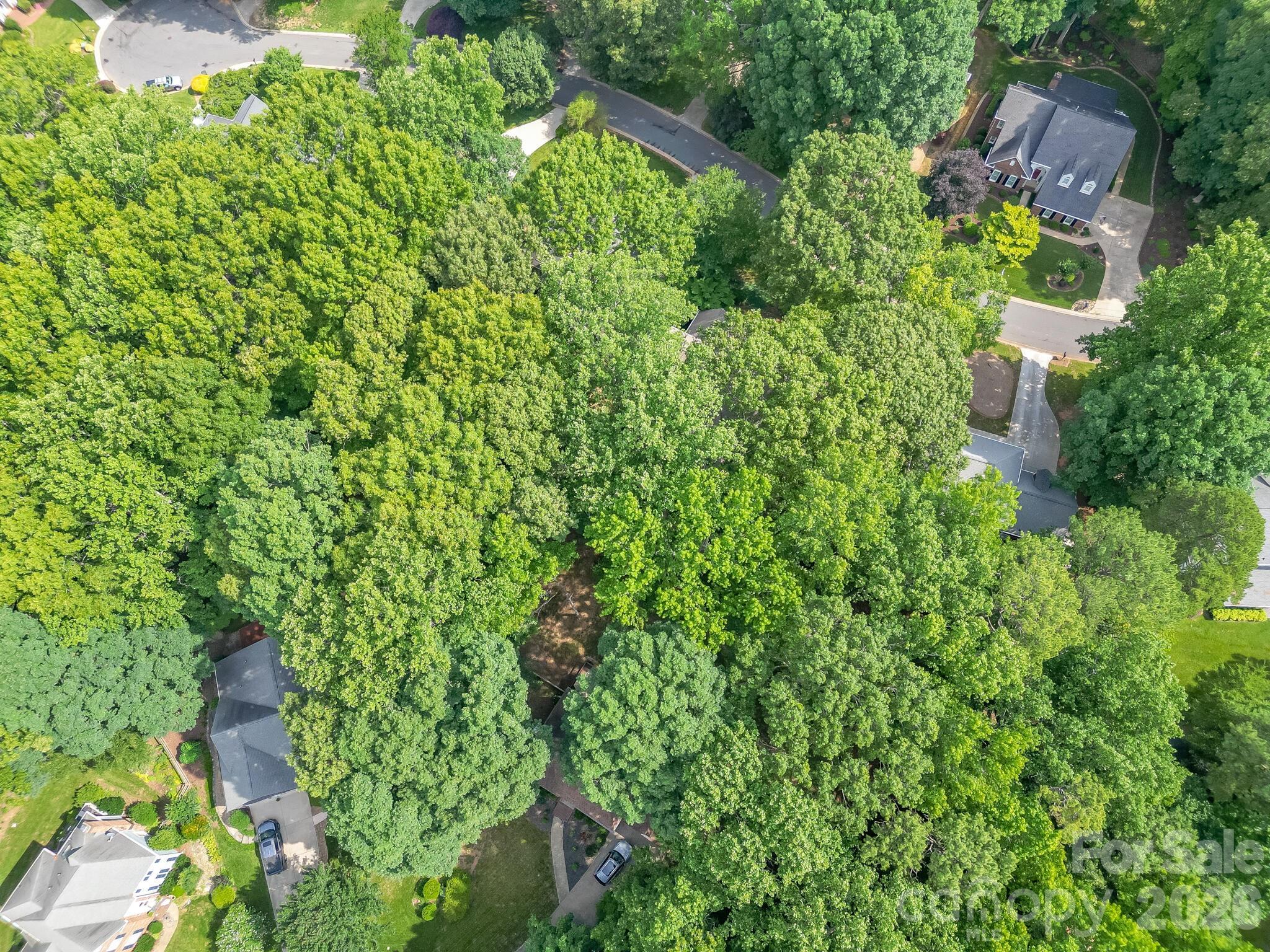 15202 Sharrow Bay Court — Huntersville