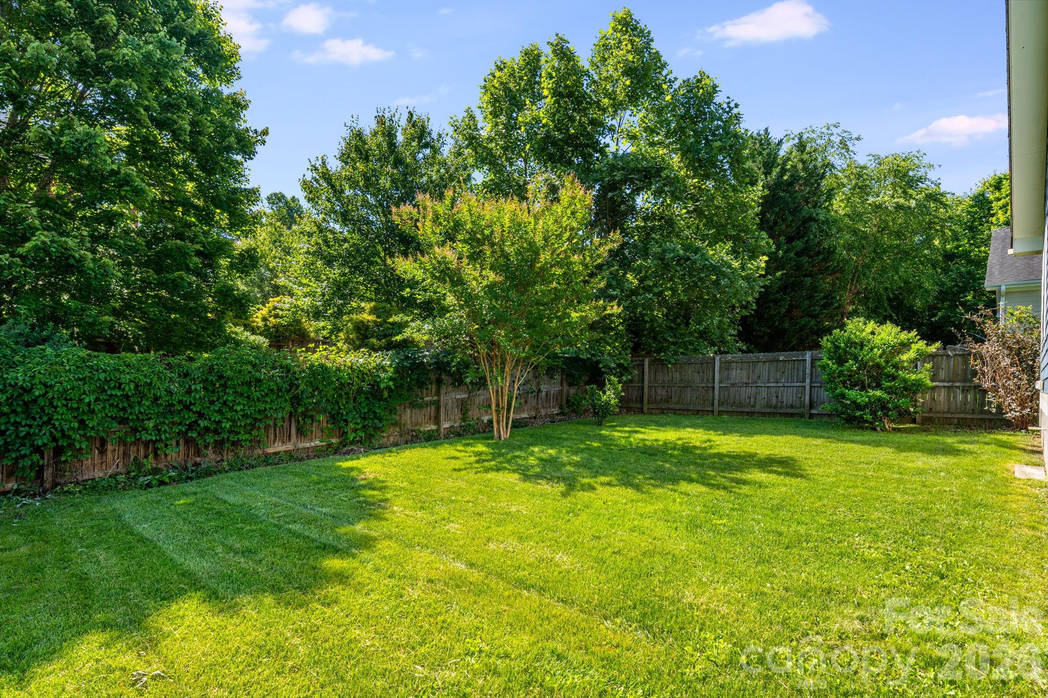 123 Estelle Park Drive — Asheville