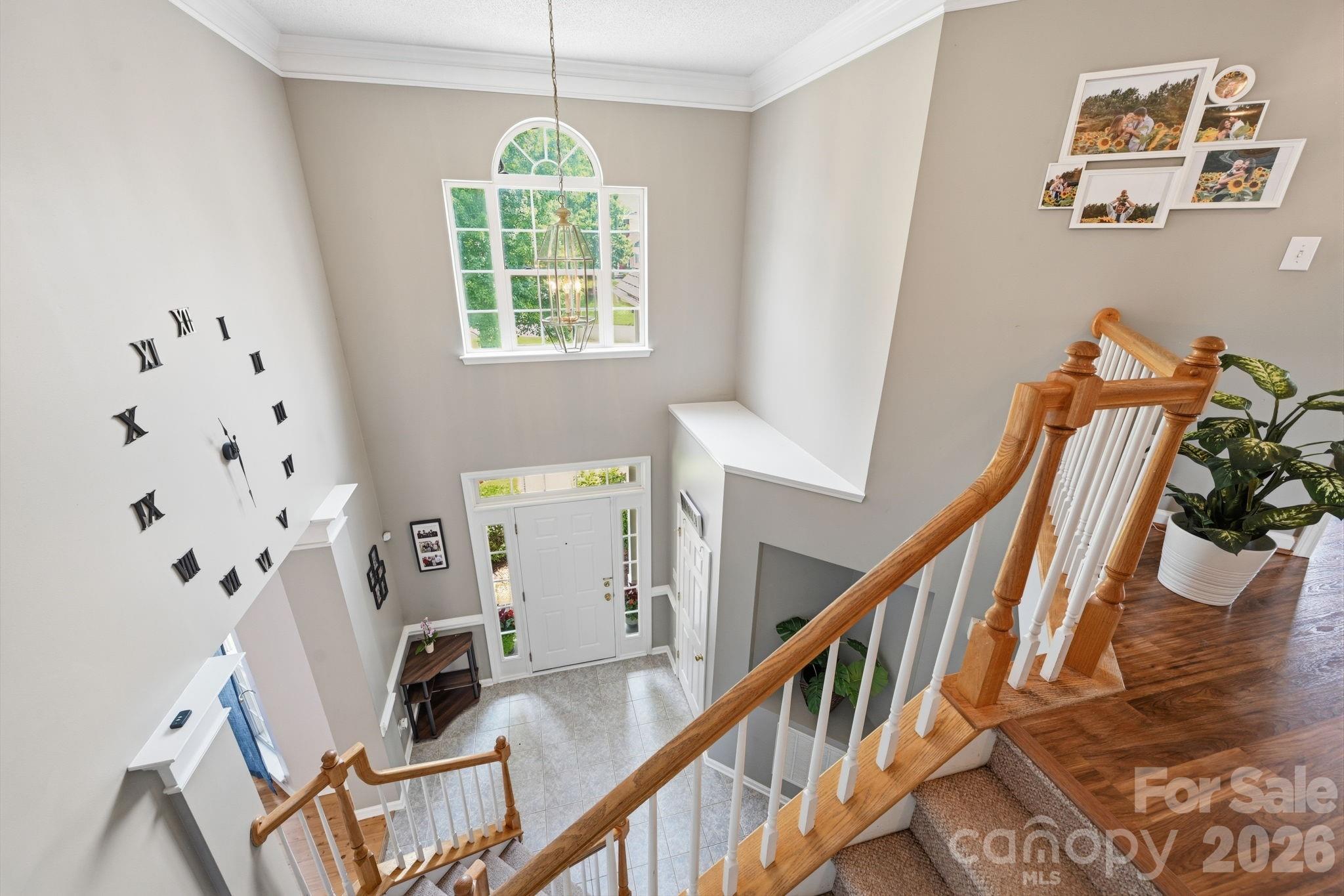 8918 Magennis Grove Court — Charlotte