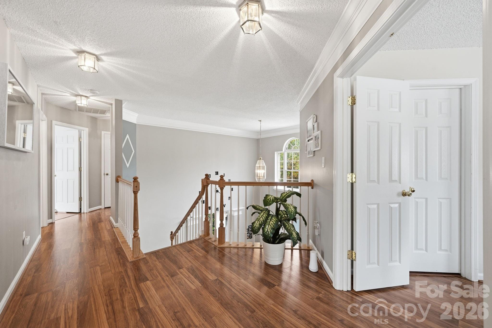 8918 Magennis Grove Court — Charlotte