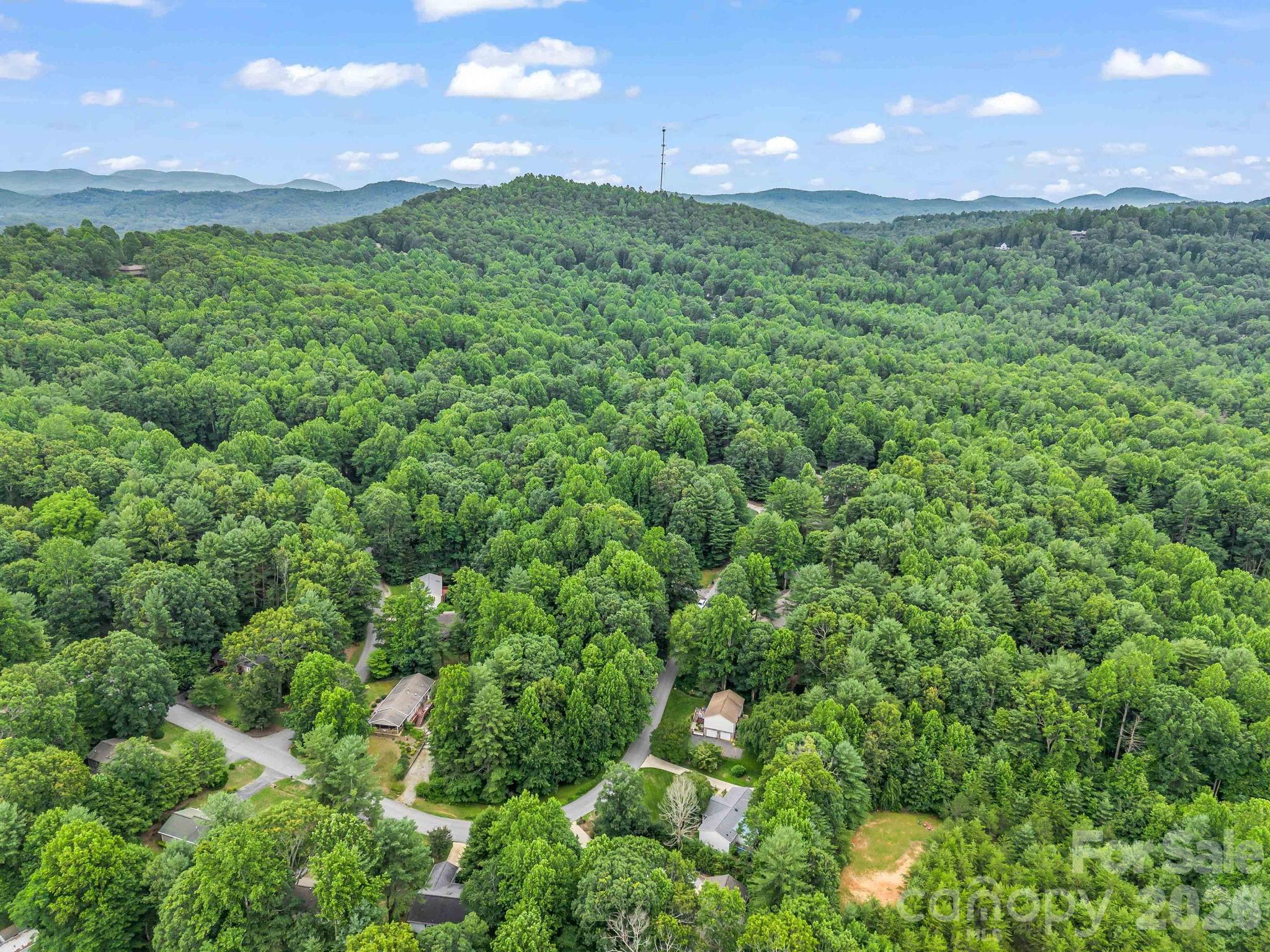 115 Cinnamon Way — Flat Rock