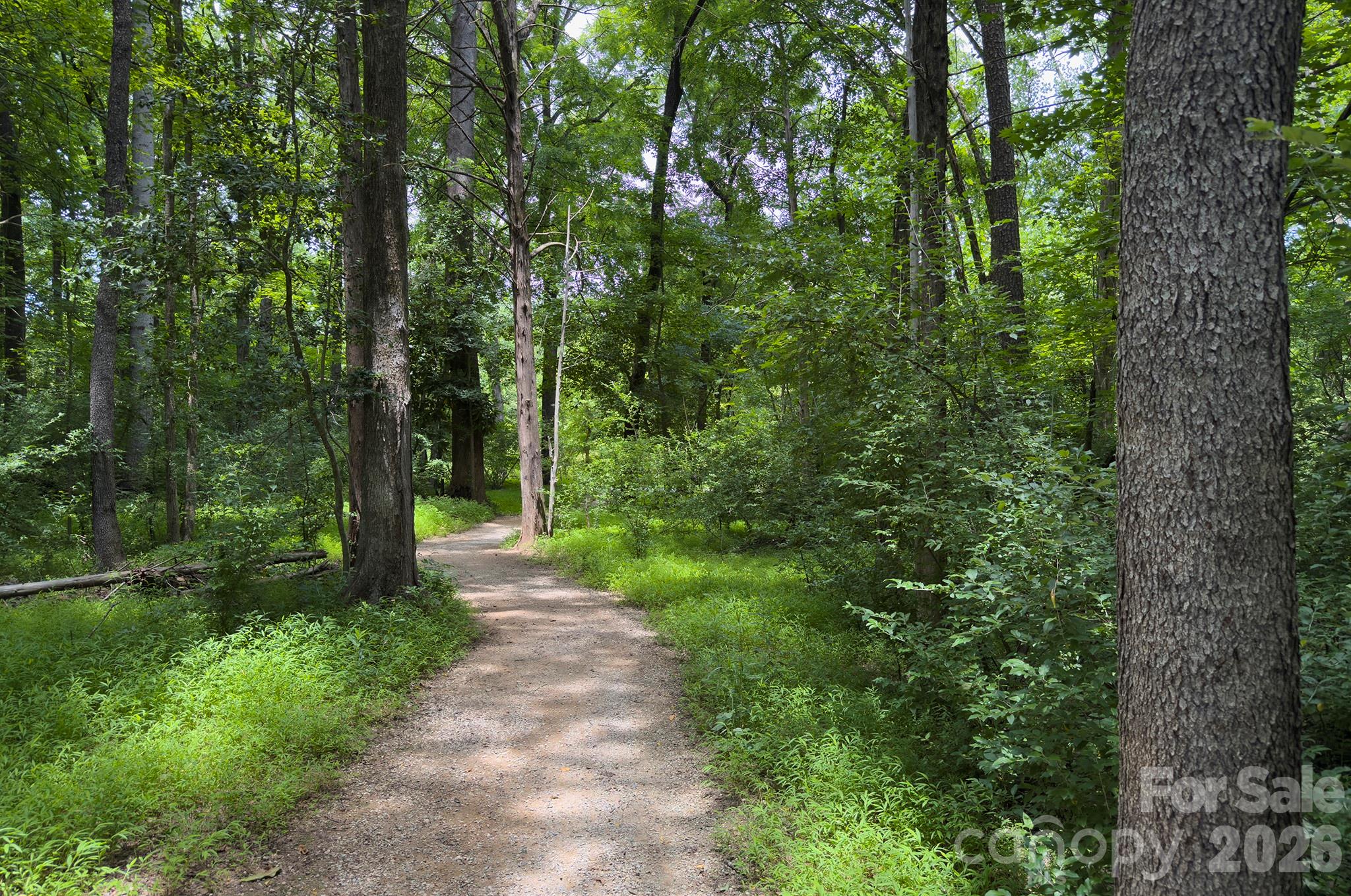 6113 Oxwynn Lane — Charlotte