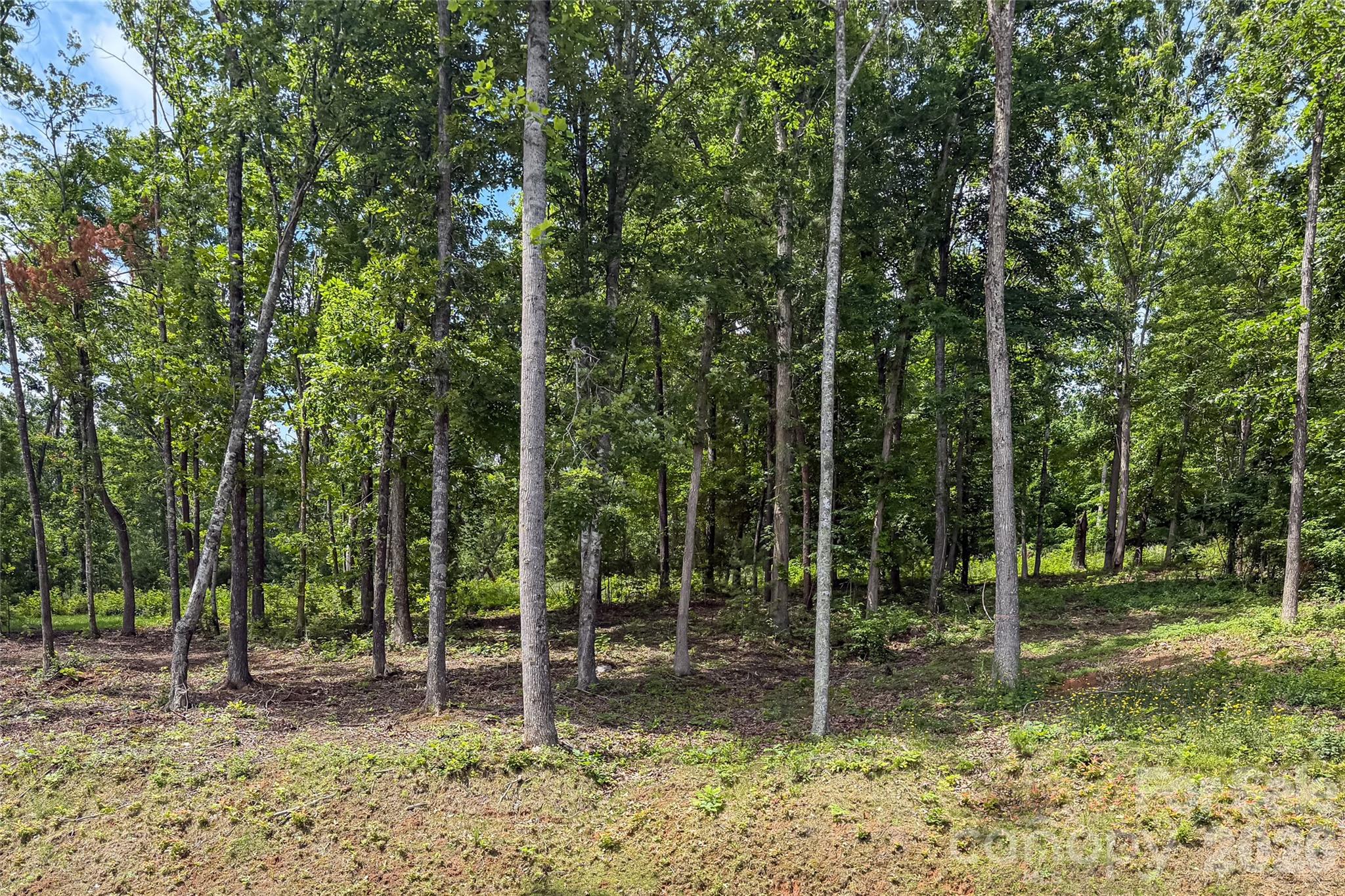 170 + 00000 Bear View Road — Weaverville