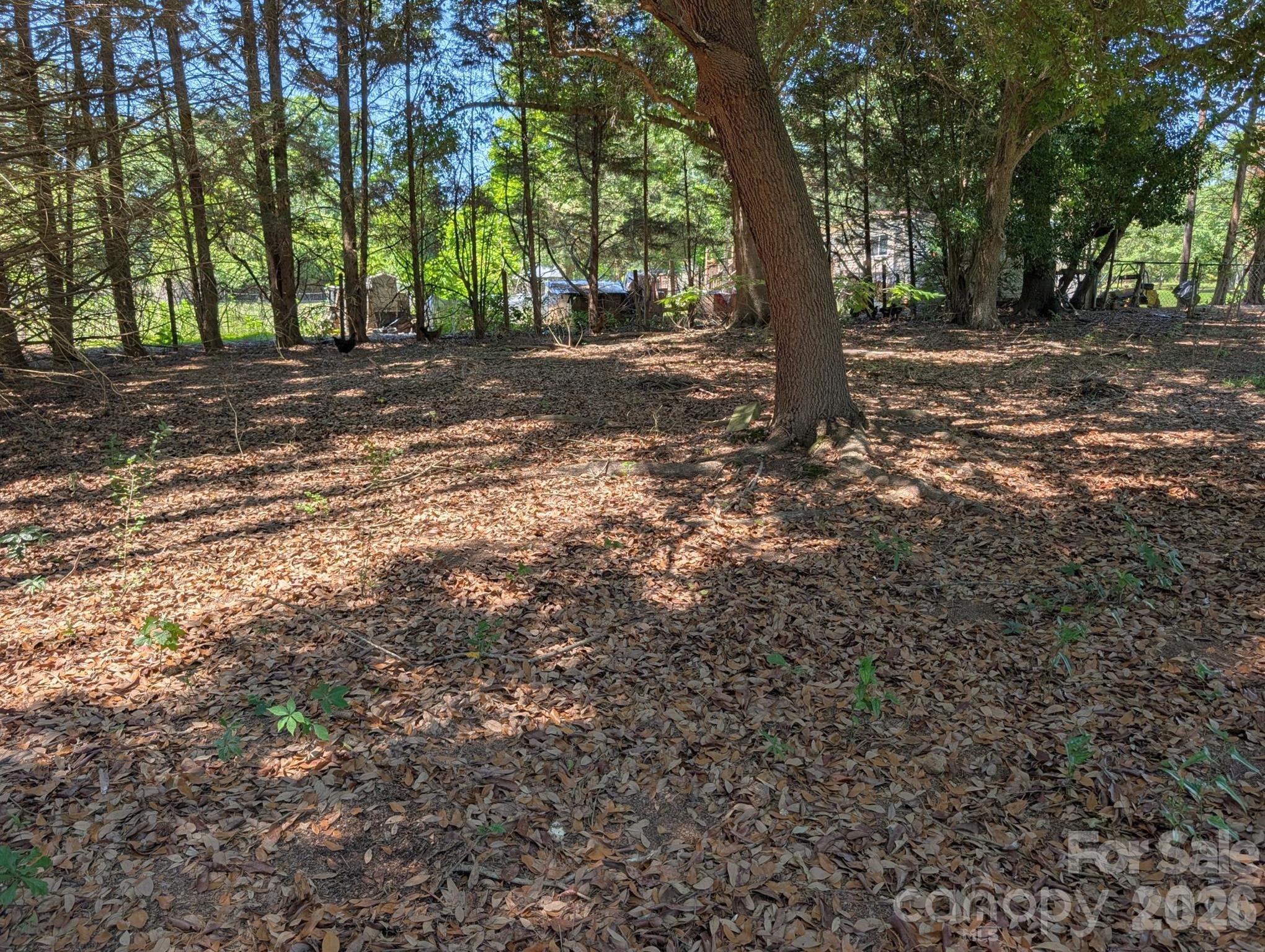 4053 Roddey Road — Catawba
