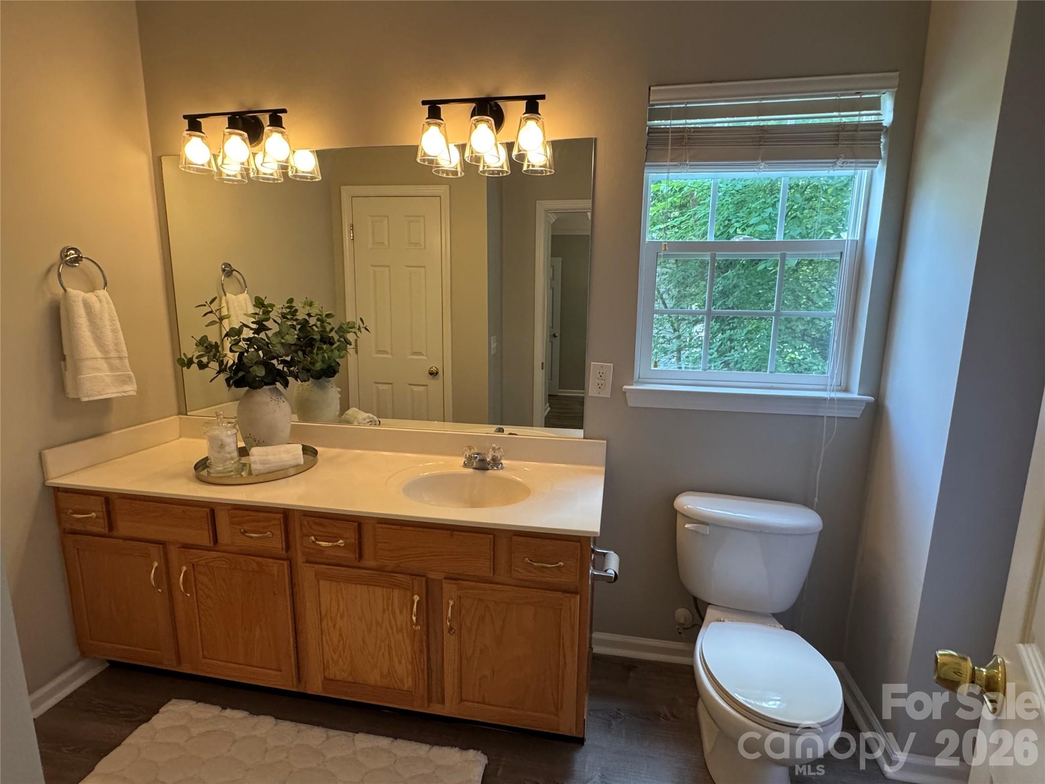 18418 Torrence Chapel Estates Circle — Cornelius