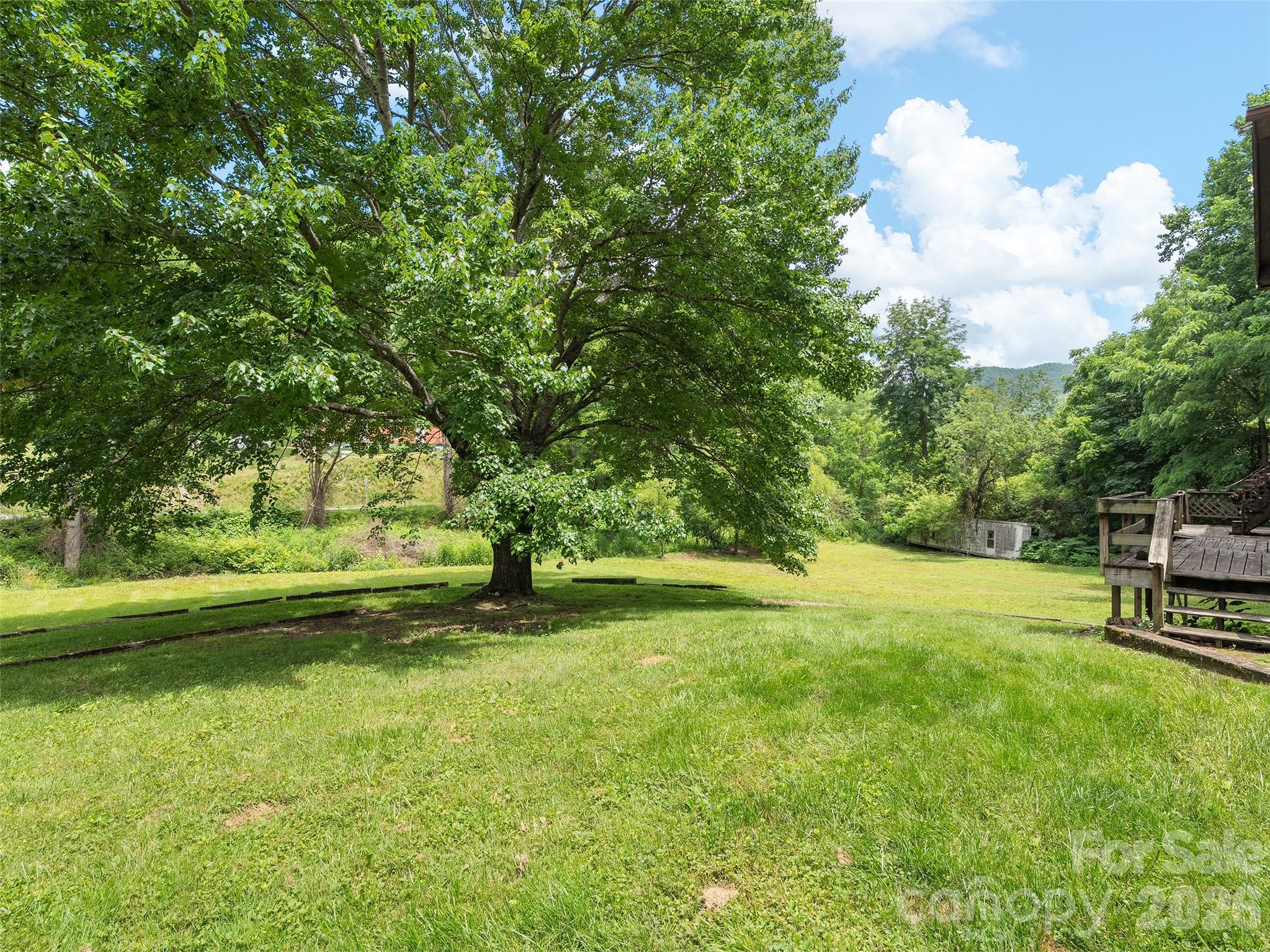 277 Orion Davis Road — Waynesville