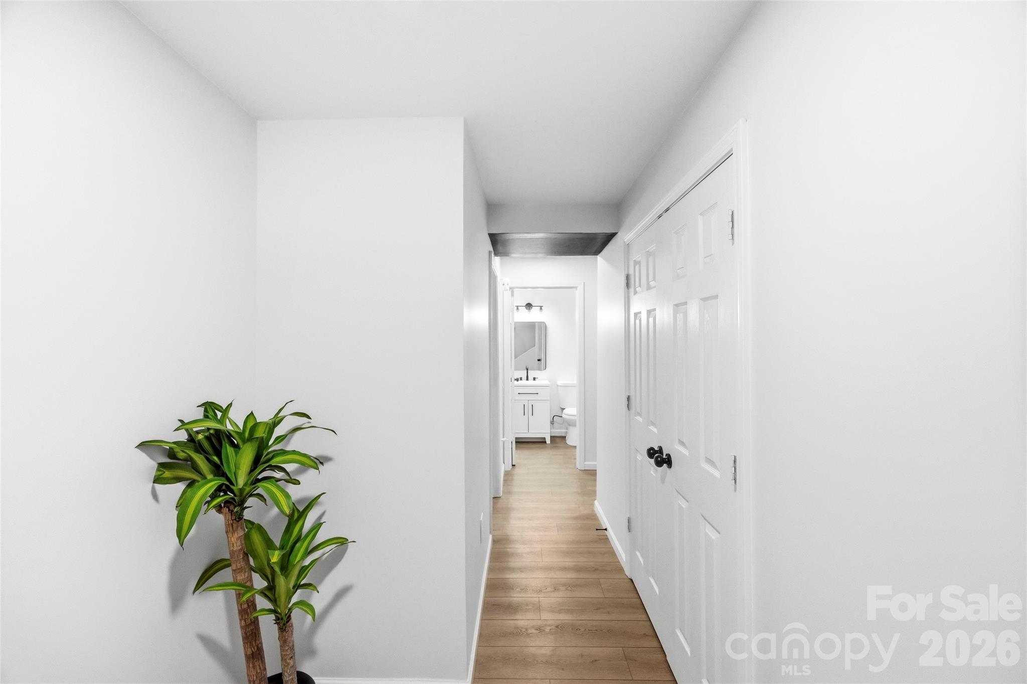1047 White Plains Road — Charlotte