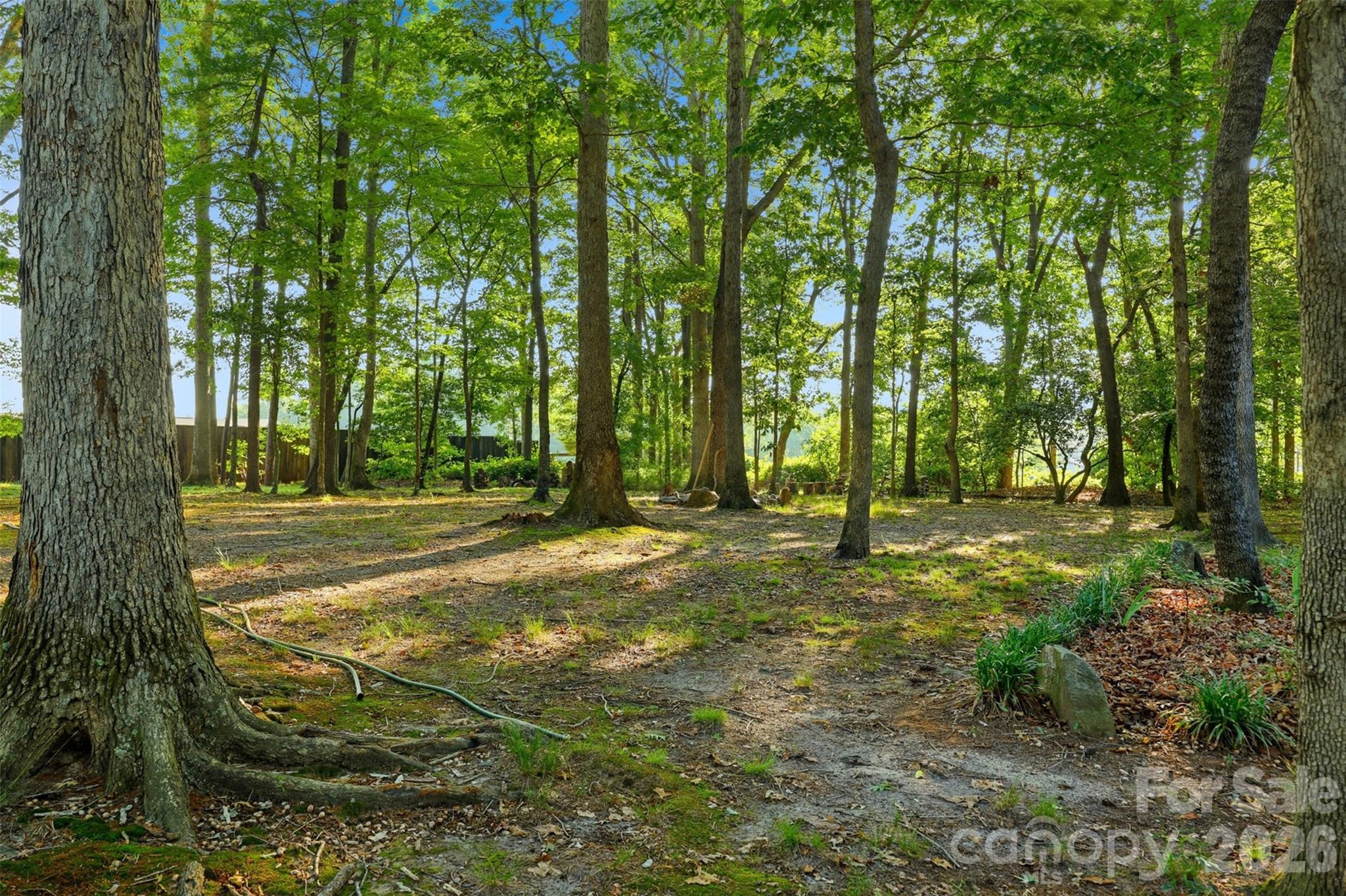 975 Jay Burke Road — Taylorsville