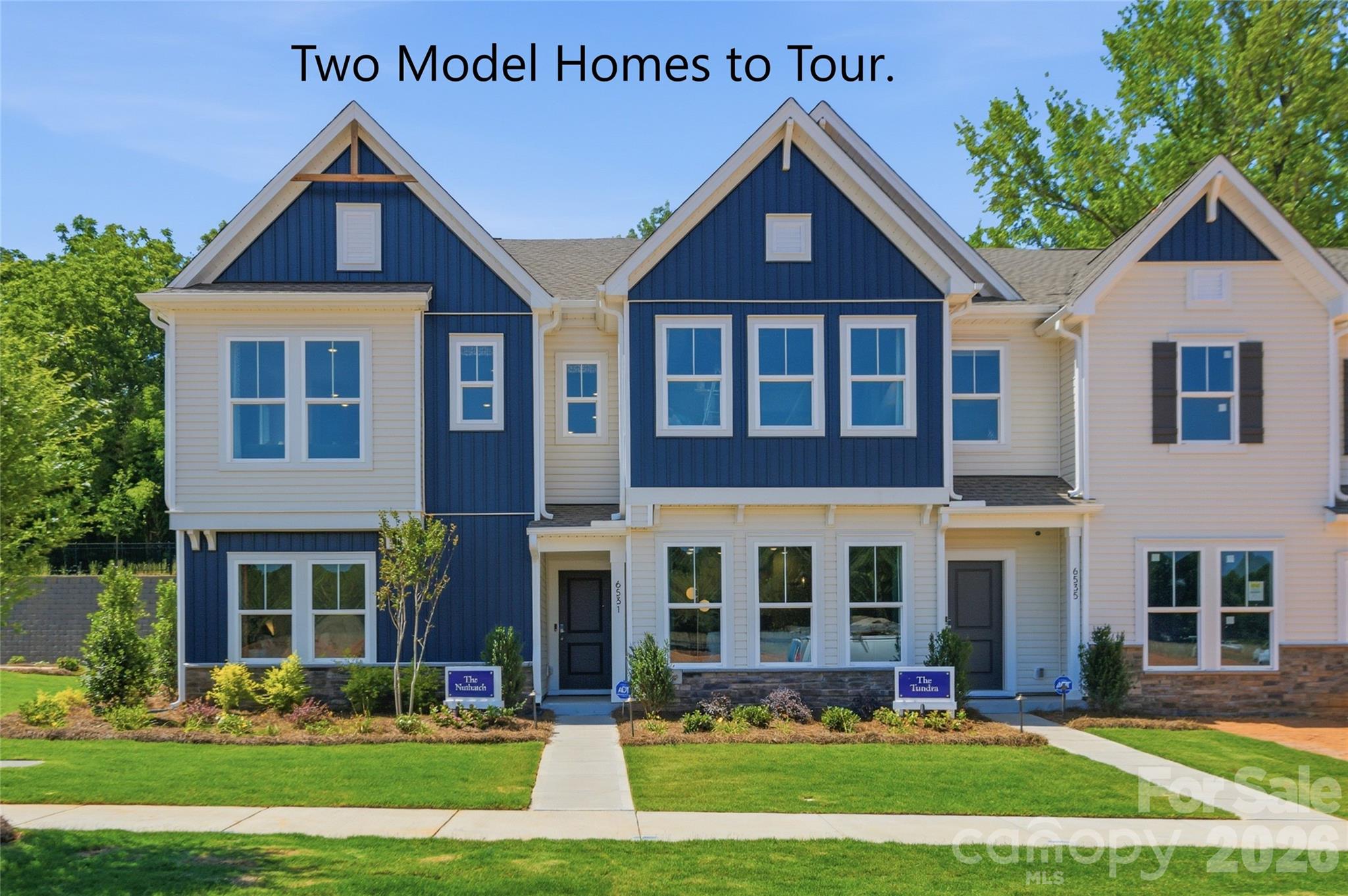 6055 White Aster Lane — Charlotte