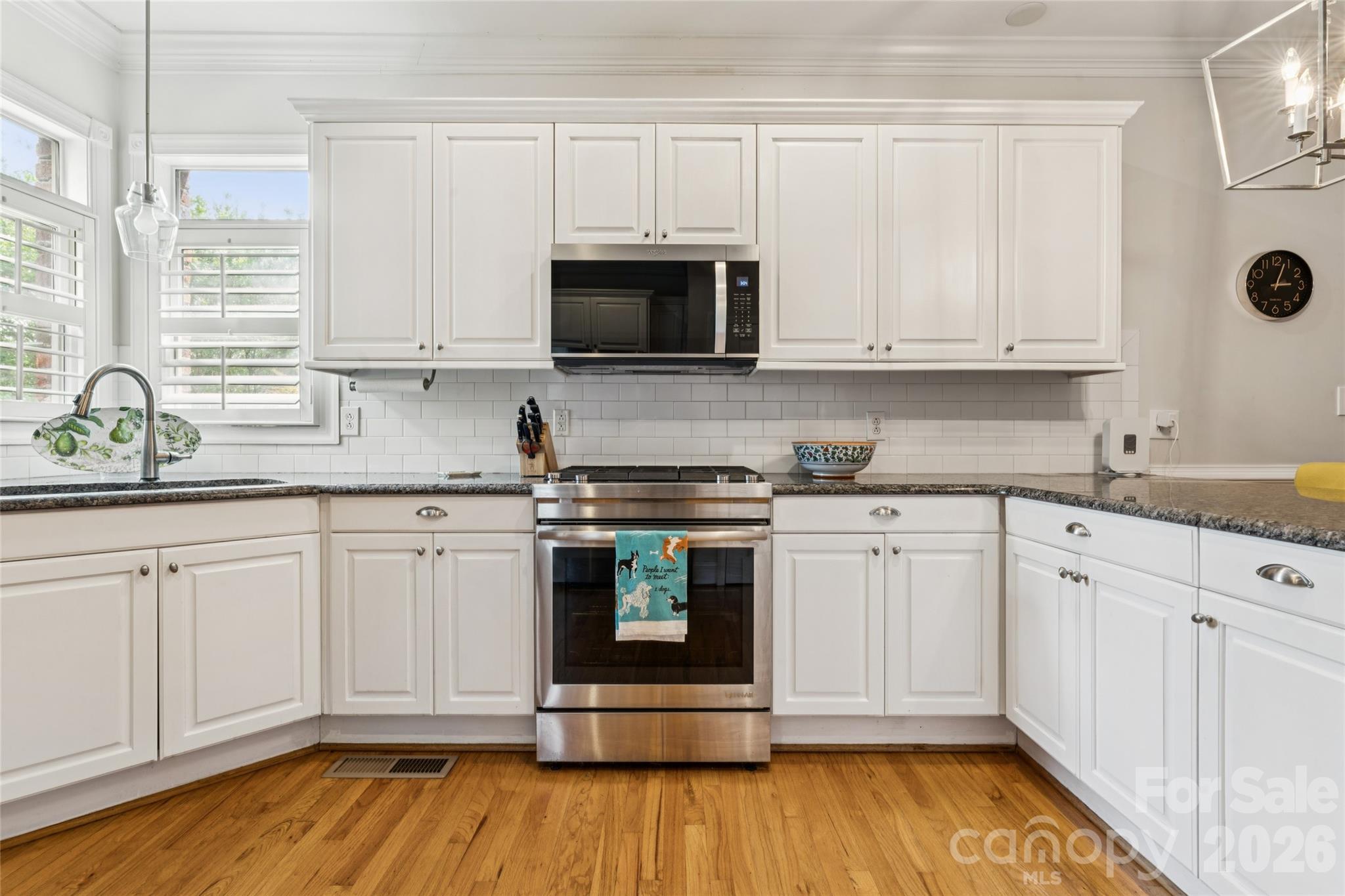 6784 Lynrose Court — Charlotte