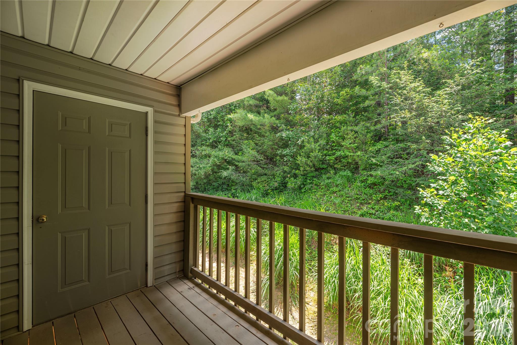 409 Carlyle Way — Asheville