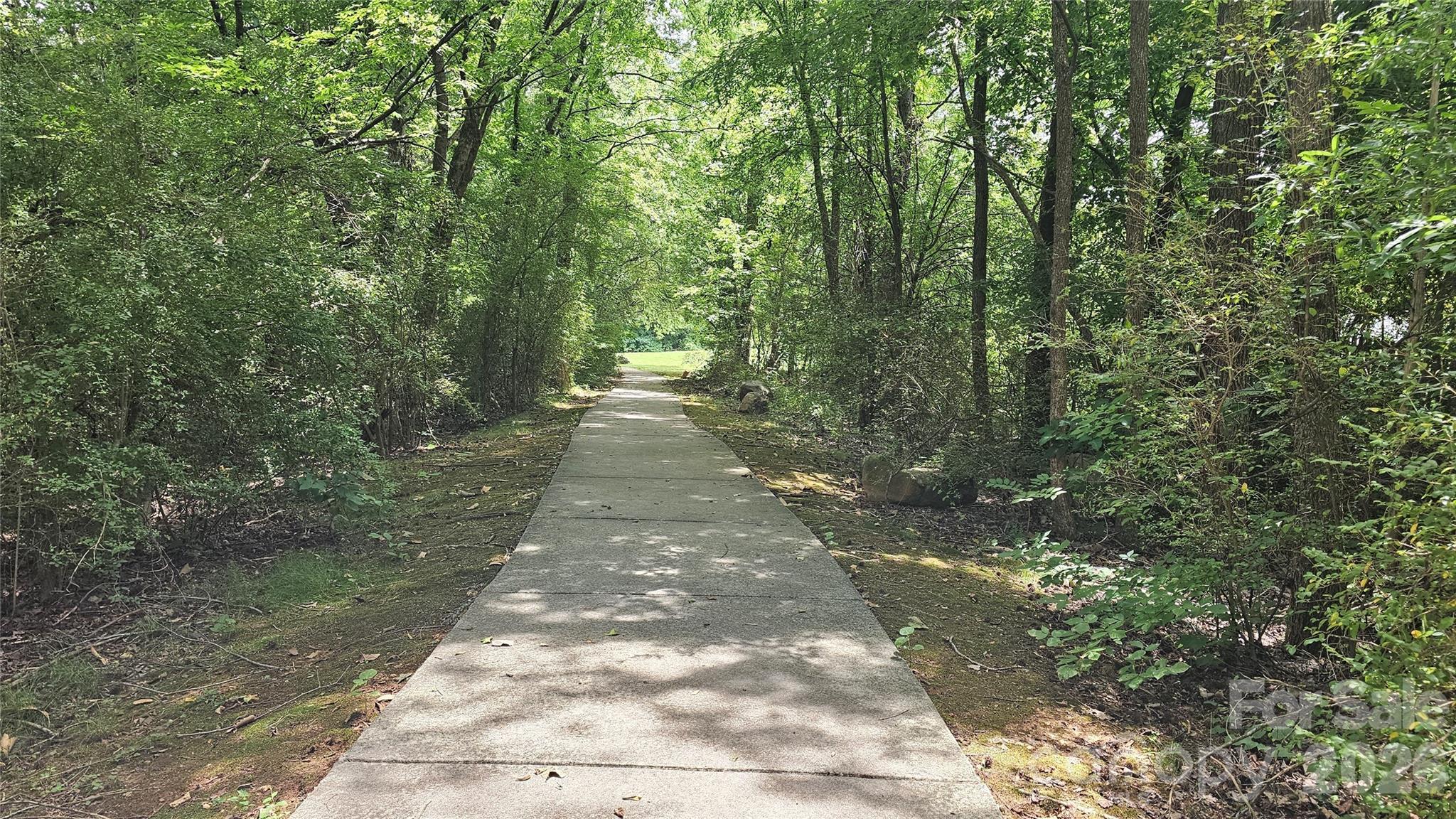 12519 Wandering Brook Drive — Charlotte