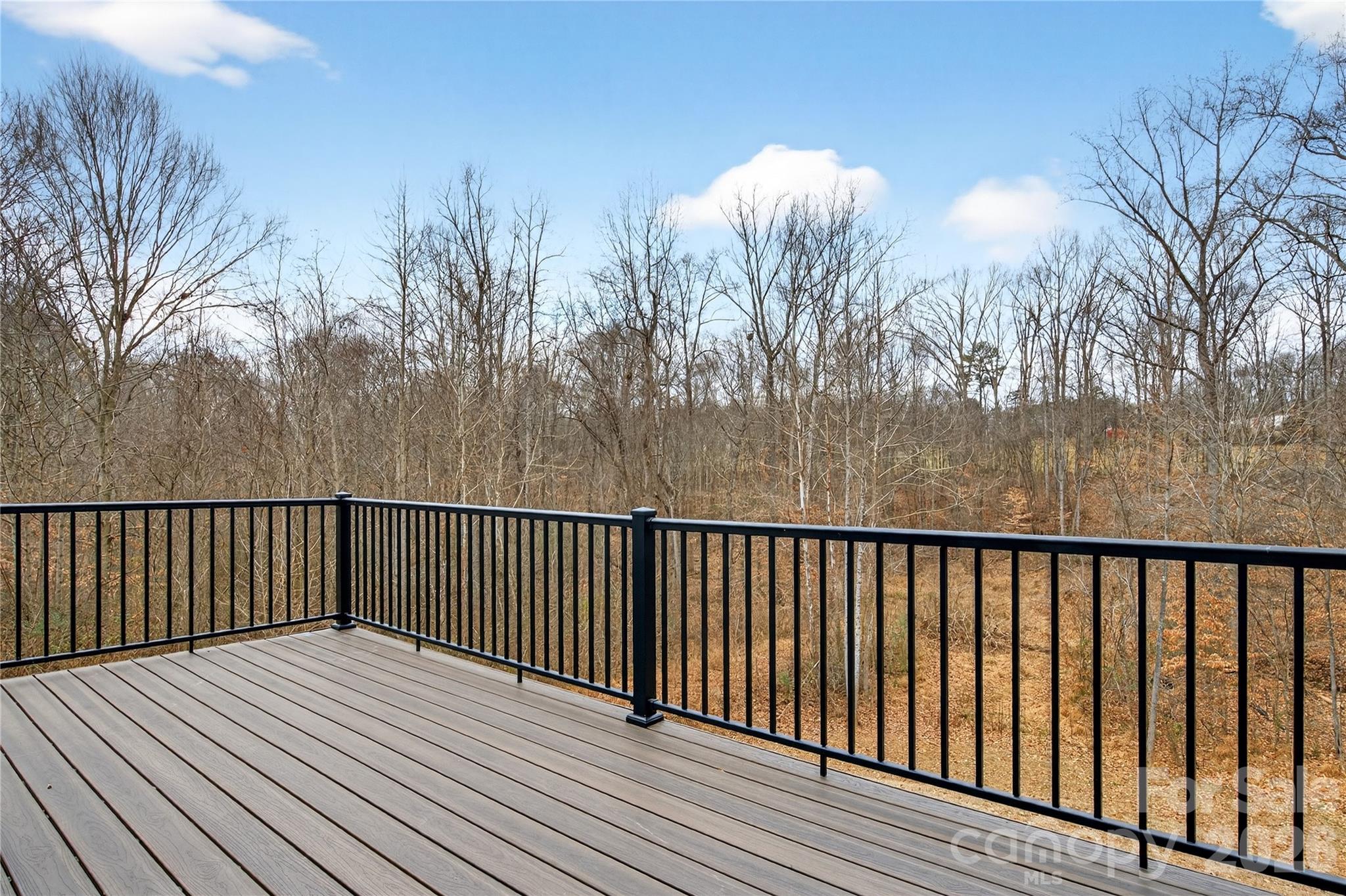 229 Shenandoah Loop — Troutman