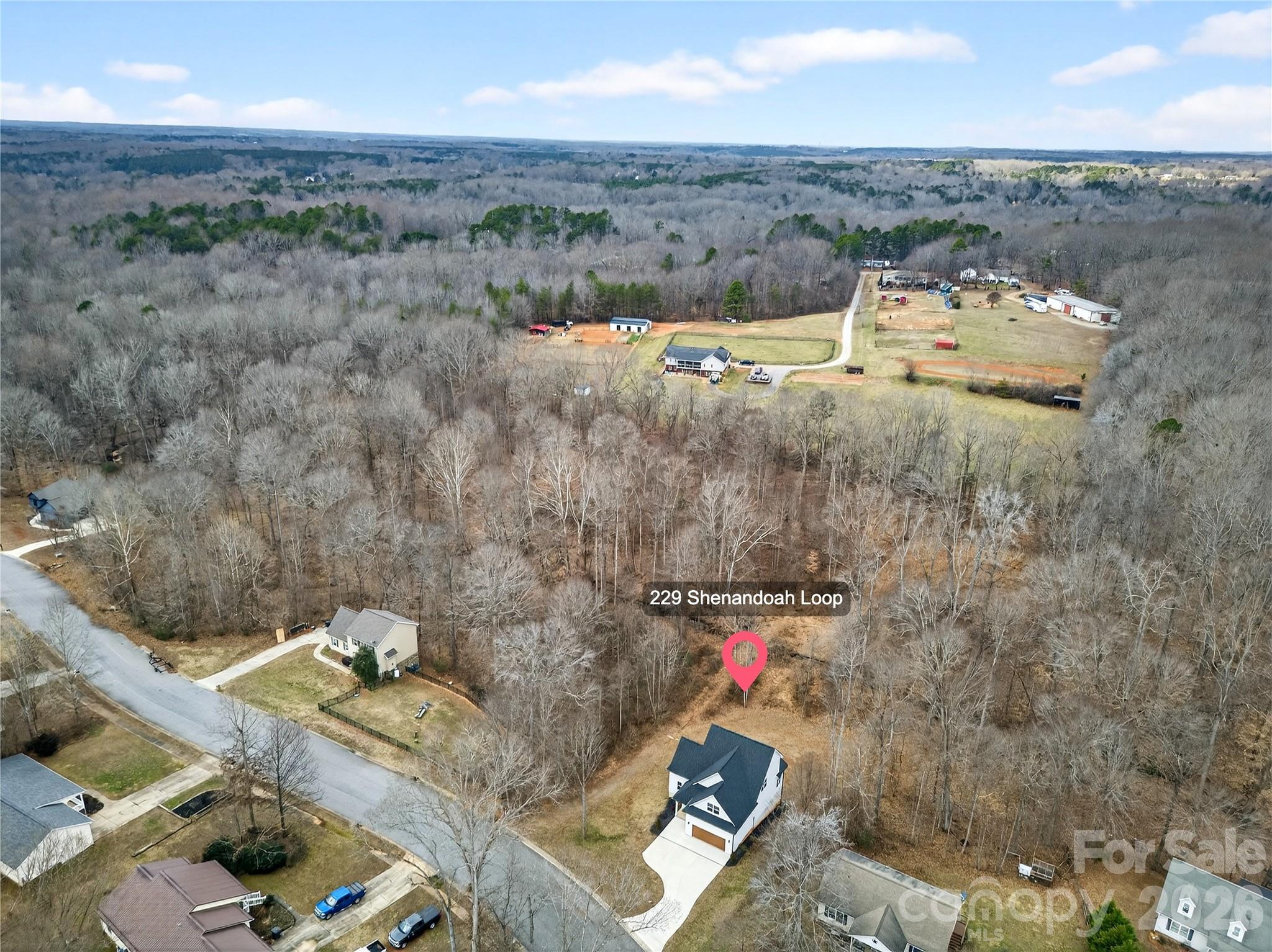 229 Shenandoah Loop — Troutman