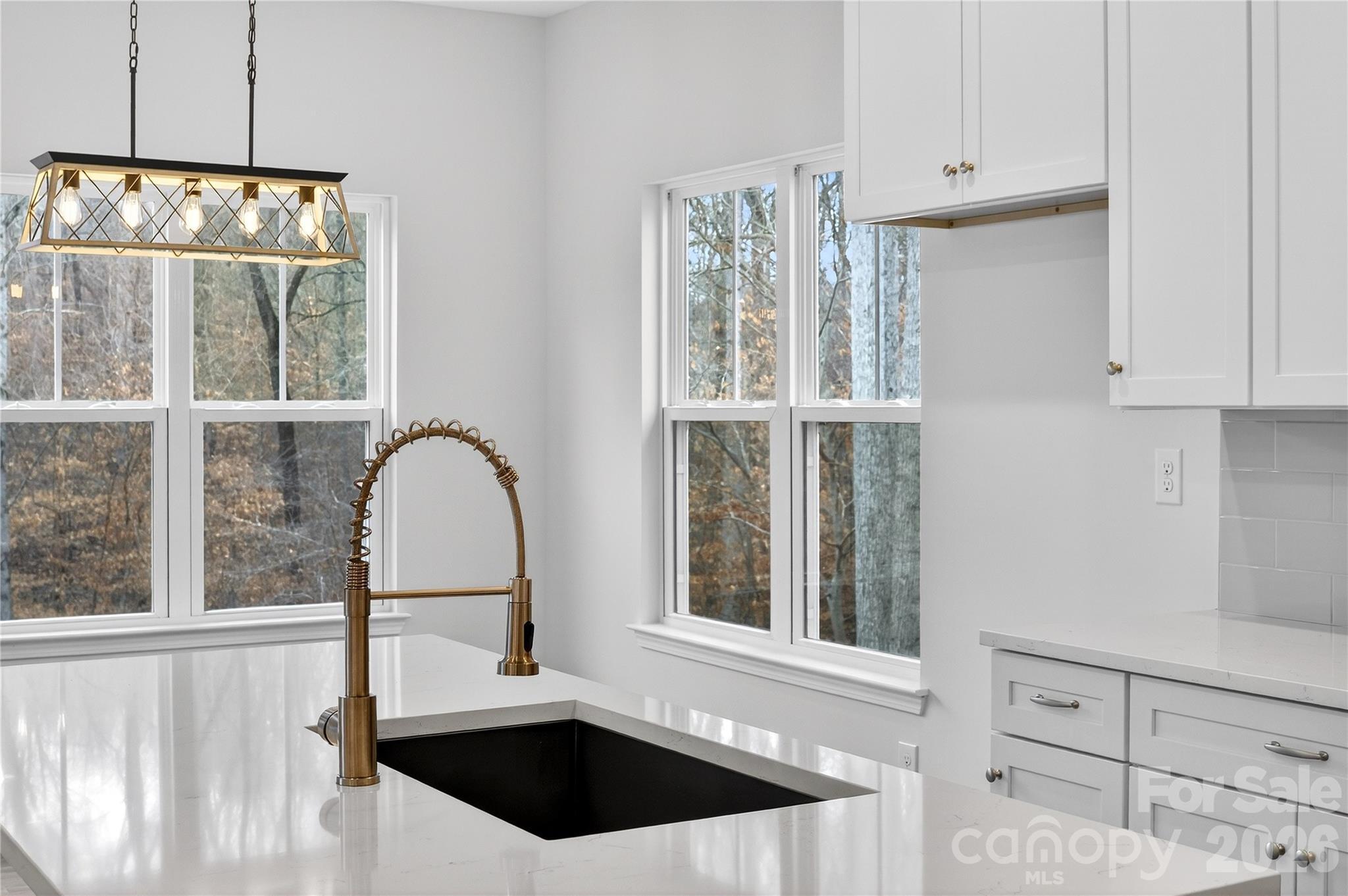 229 Shenandoah Loop — Troutman