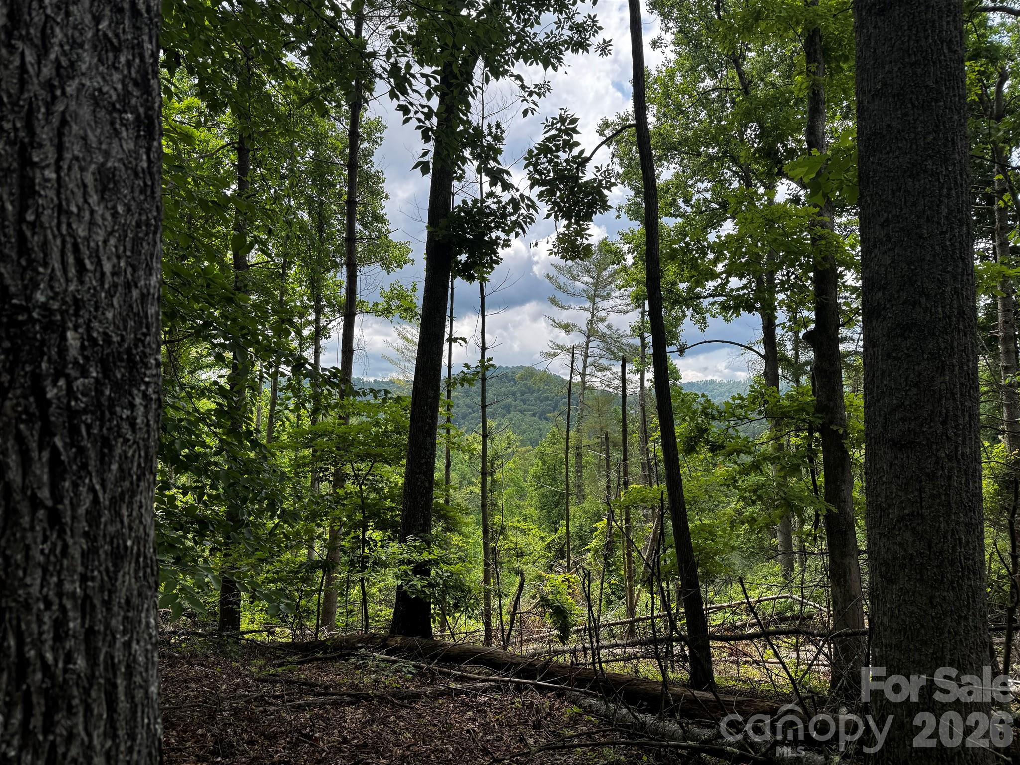 1327 NC 80 Highway — Bakersville