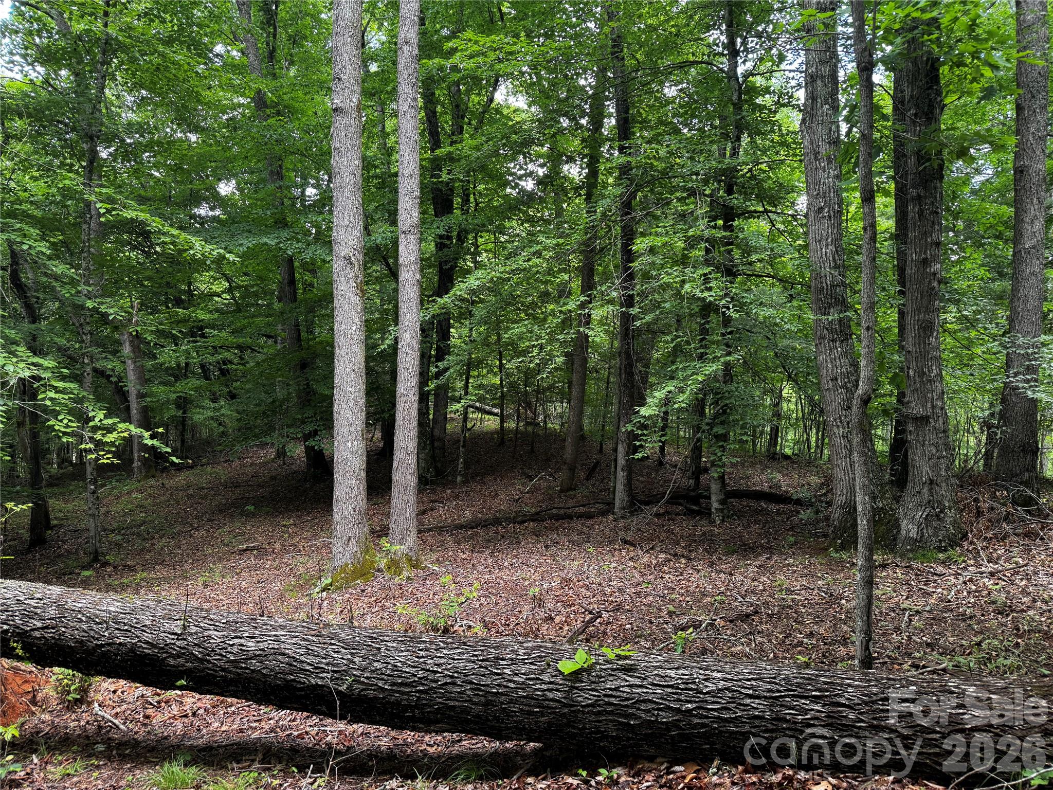 1327 NC 80 Highway — Bakersville