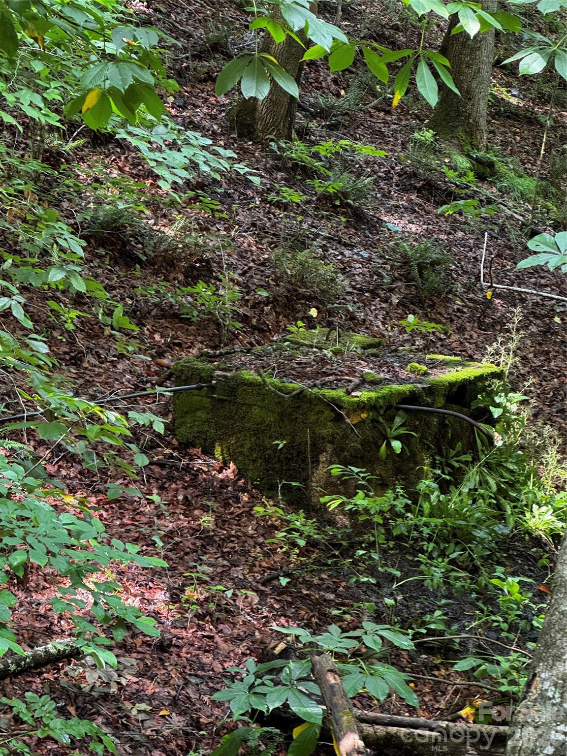 1327 NC 80 Highway — Bakersville