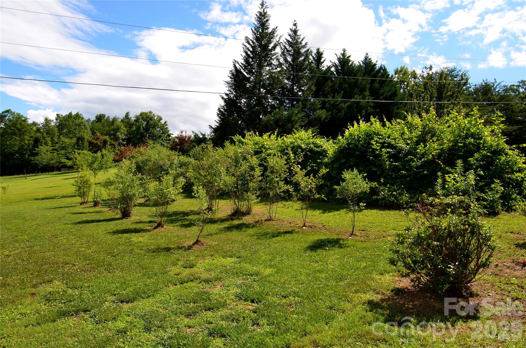 848 Deer Park Road — Nebo