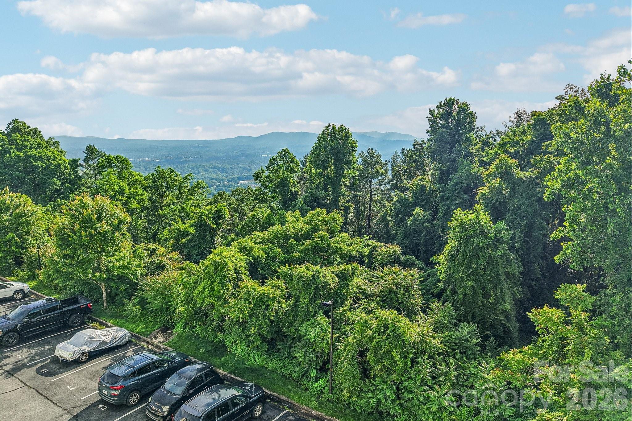 647 Town Mountain Road #212 — Asheville