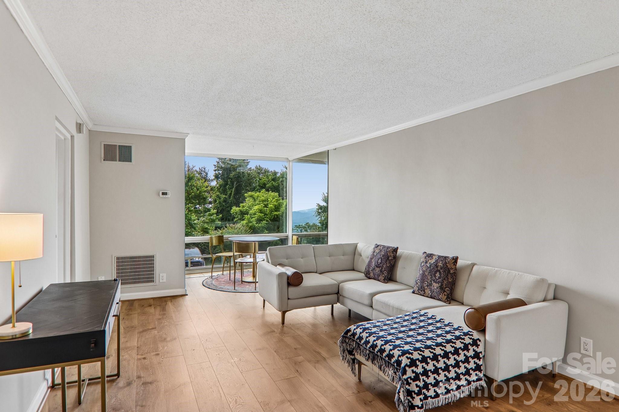 647 Town Mountain Road #212 — Asheville