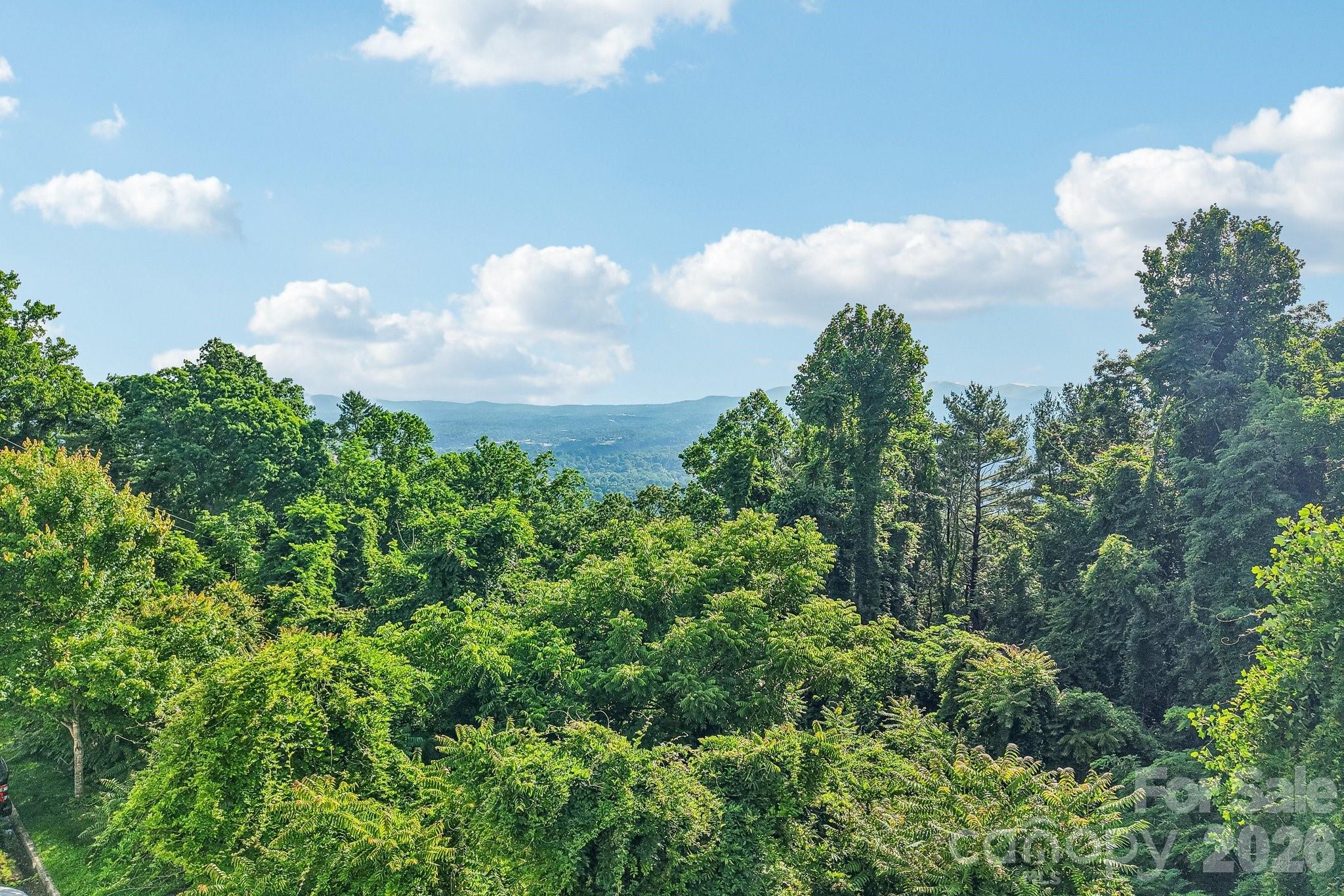 647 Town Mountain Road #212 — Asheville