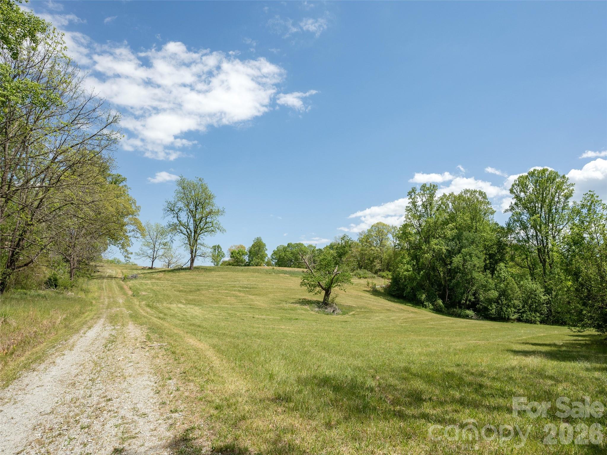 154 High Pasture Trail — Mills River