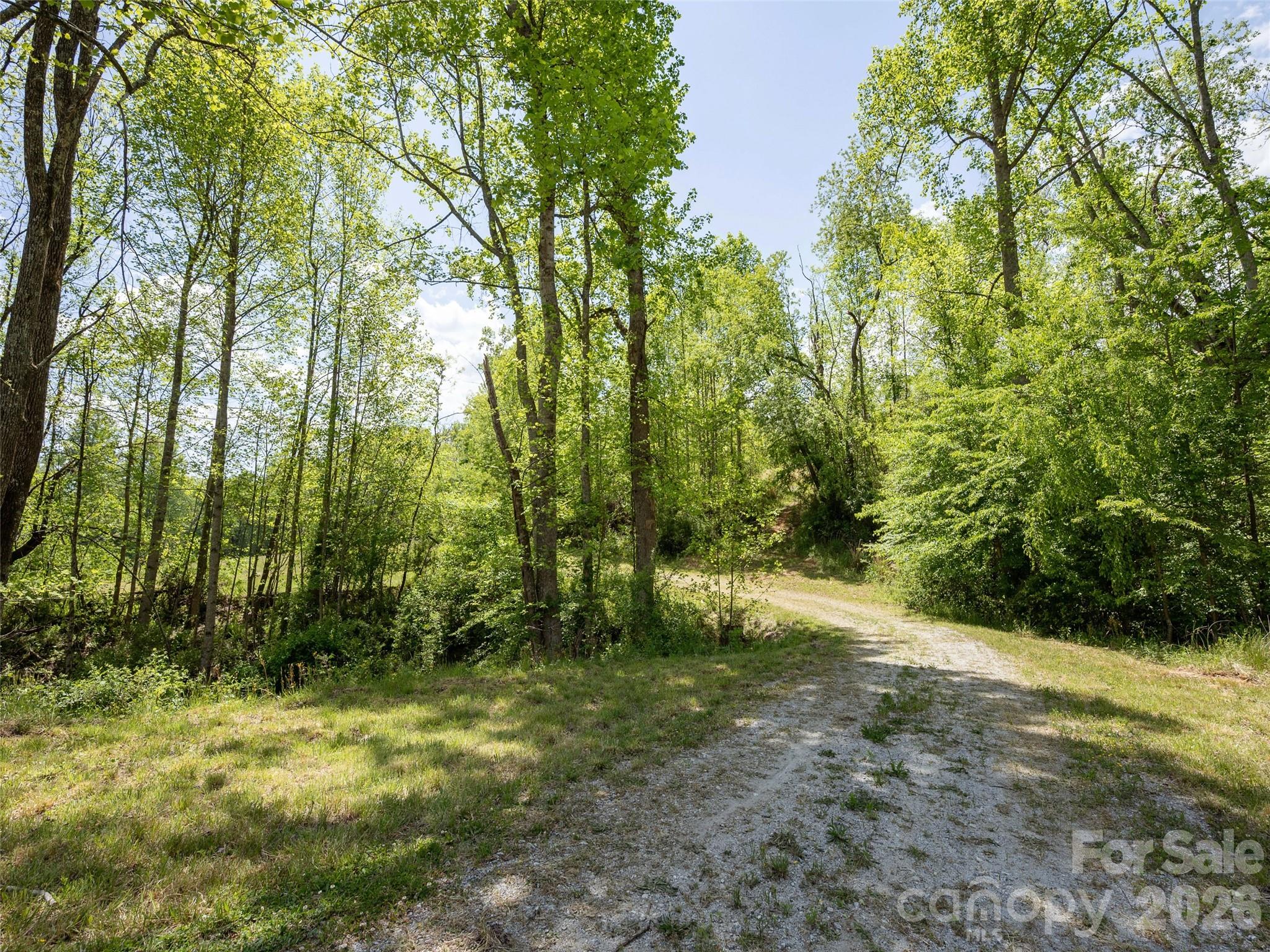154 High Pasture Trail — Mills River