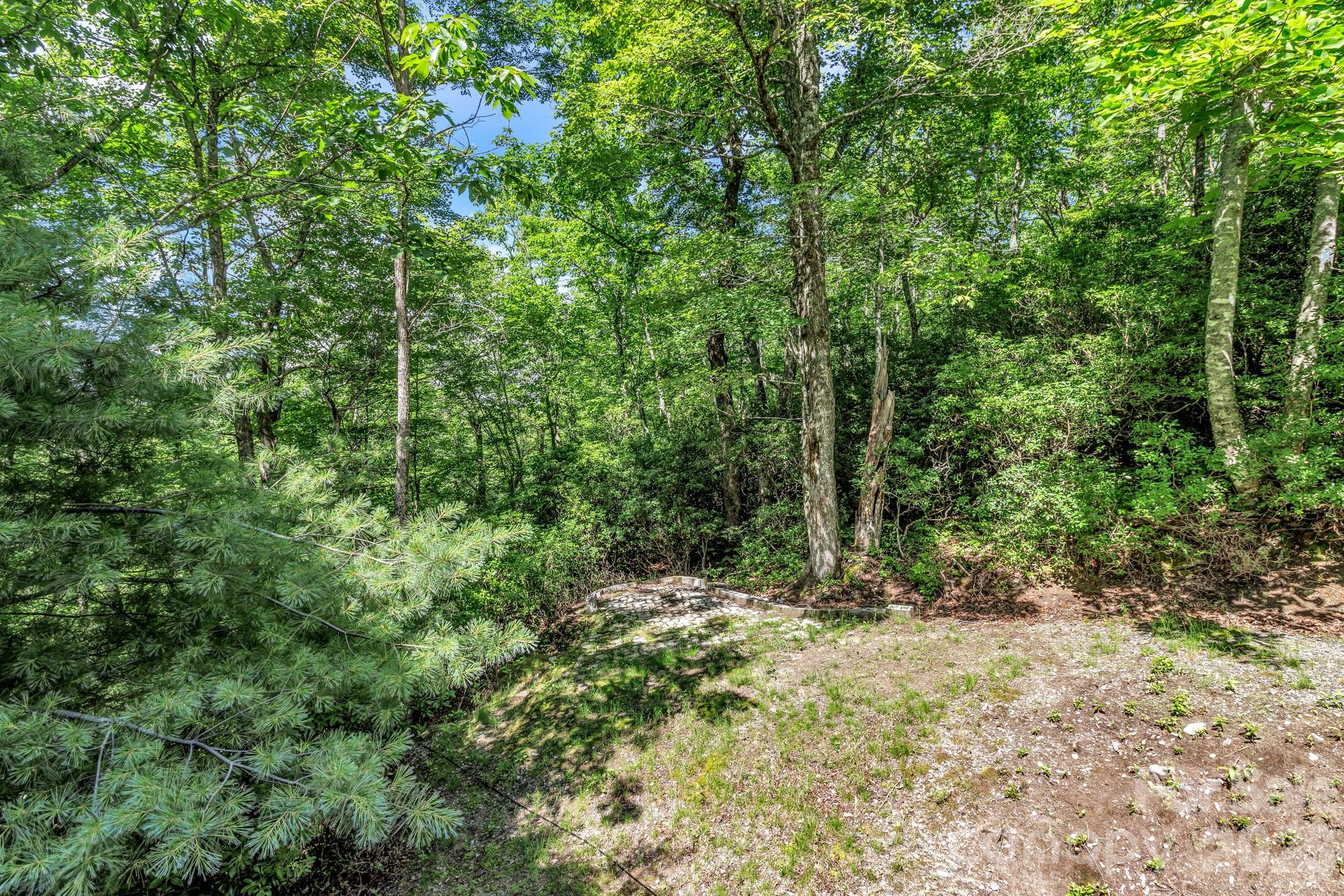 571 Tsisqua Circle — Brevard