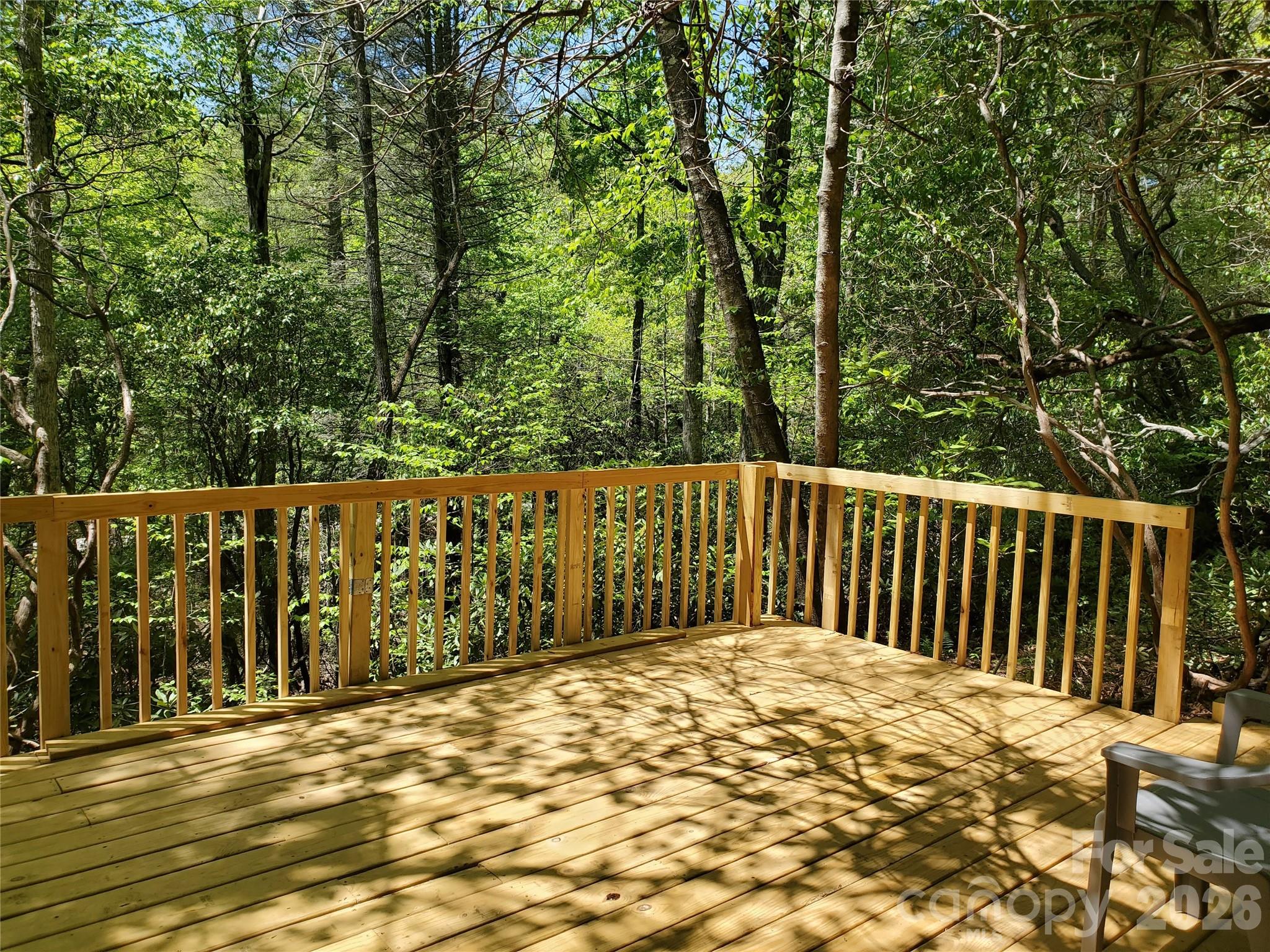 51 Bird Creek Estates Road — Black Mountain