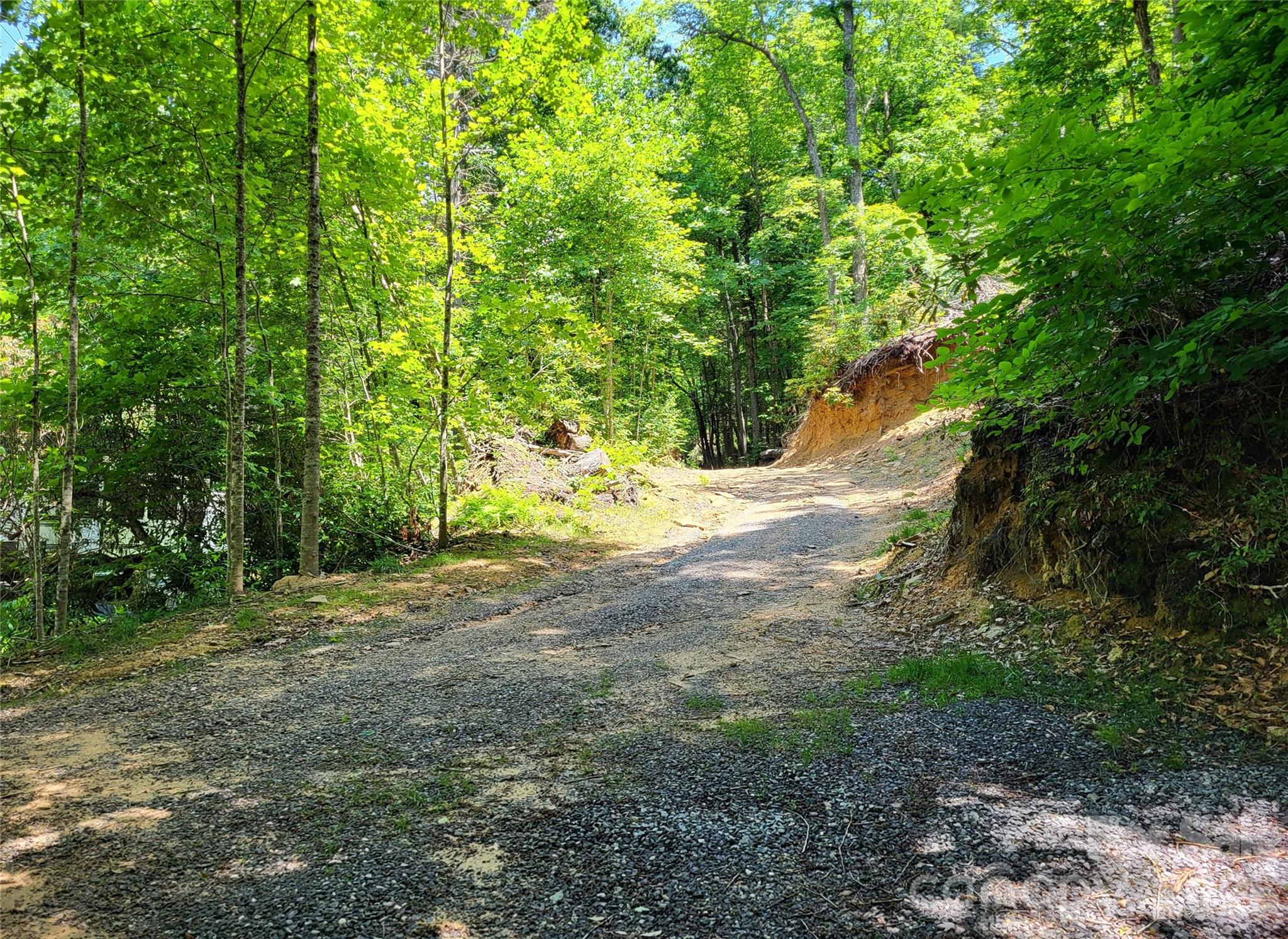 51 Bird Creek Estates Road — Black Mountain