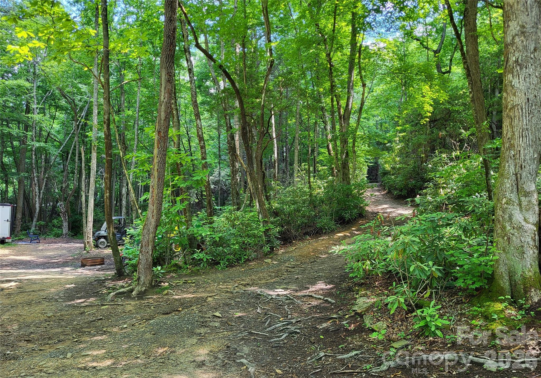 51 Bird Creek Estates Road — Black Mountain