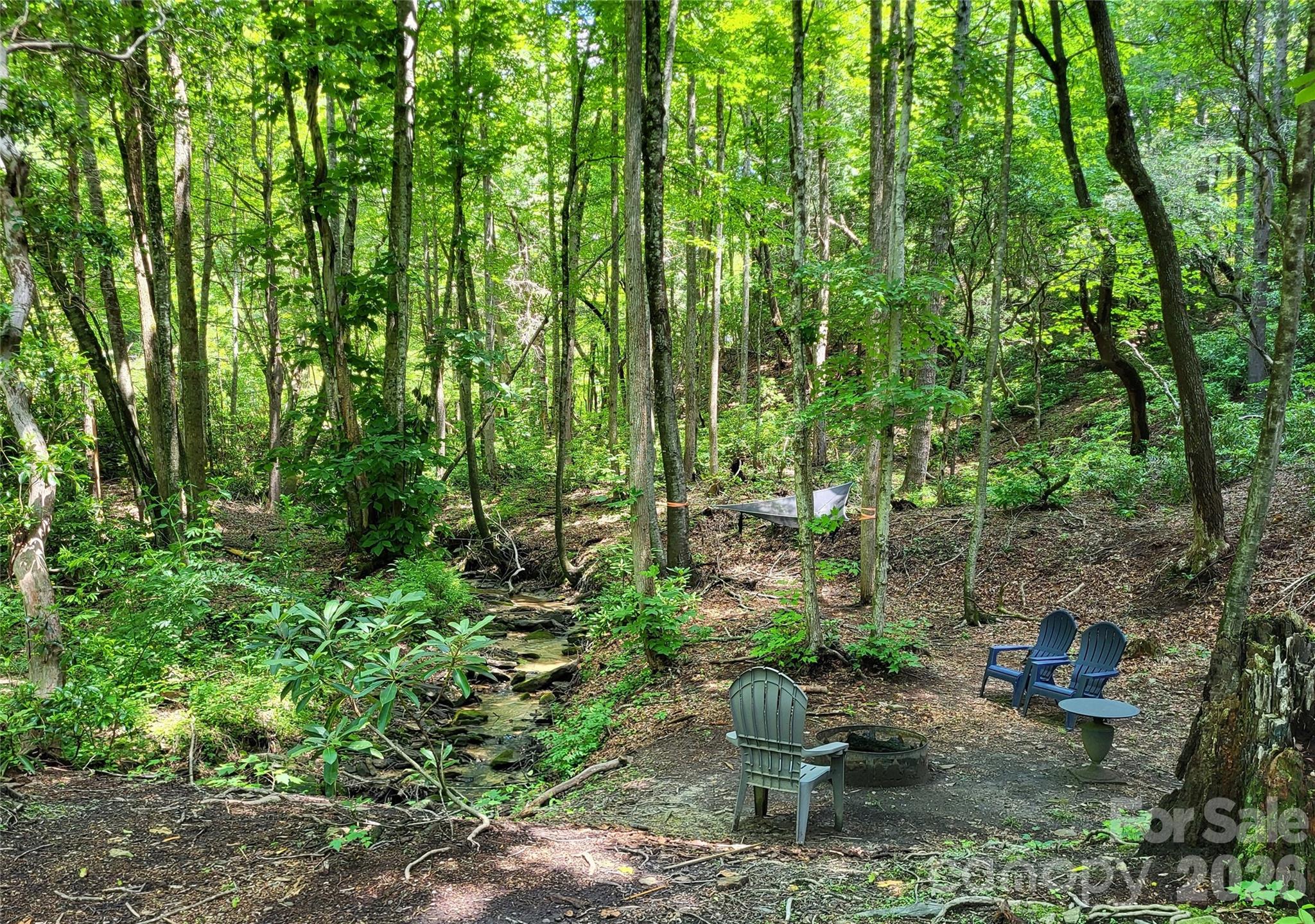 51 Bird Creek Estates Road — Black Mountain