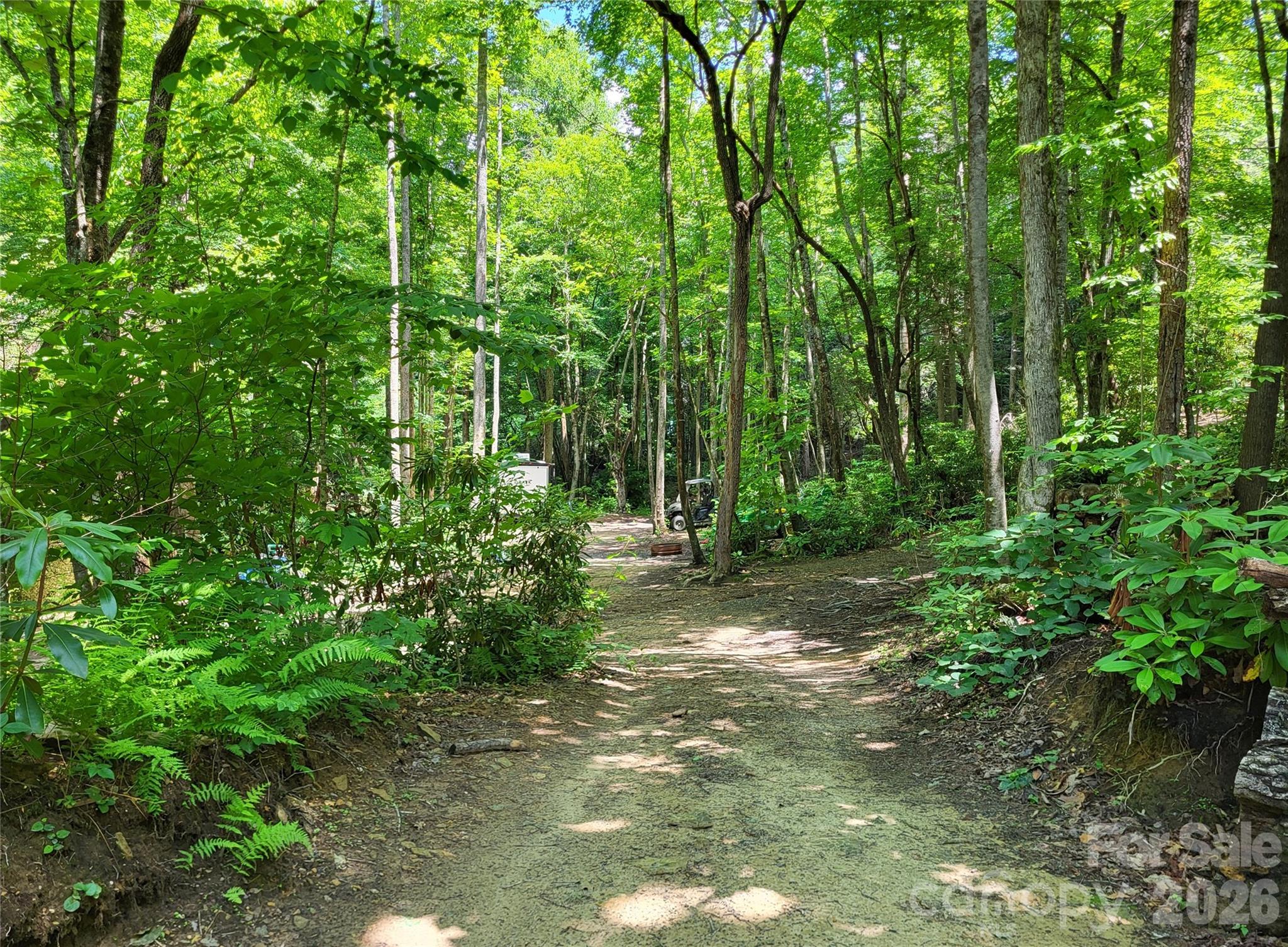 51 Bird Creek Estates Road — Black Mountain