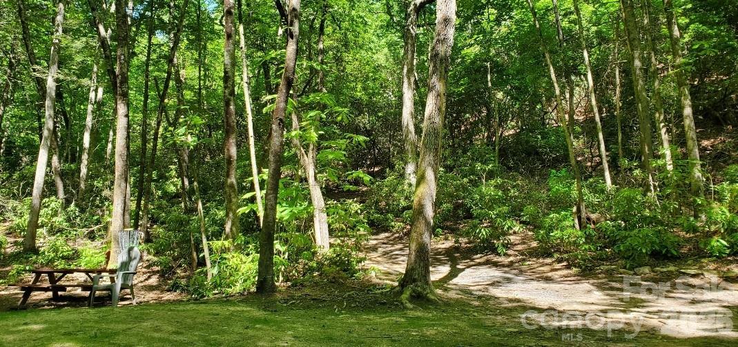 51 Bird Creek Estates Road — Black Mountain
