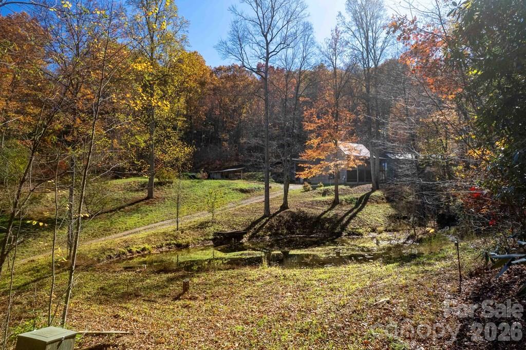930 Copperhead Cove — Sylva
