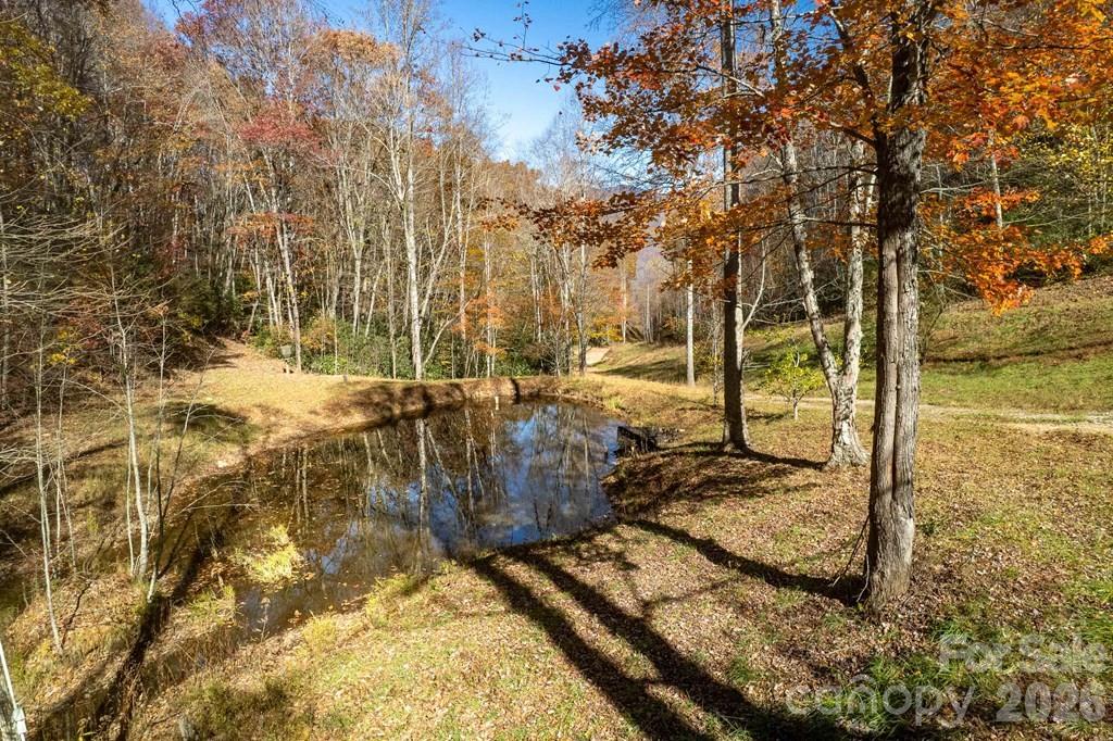 930 Copperhead Cove — Sylva