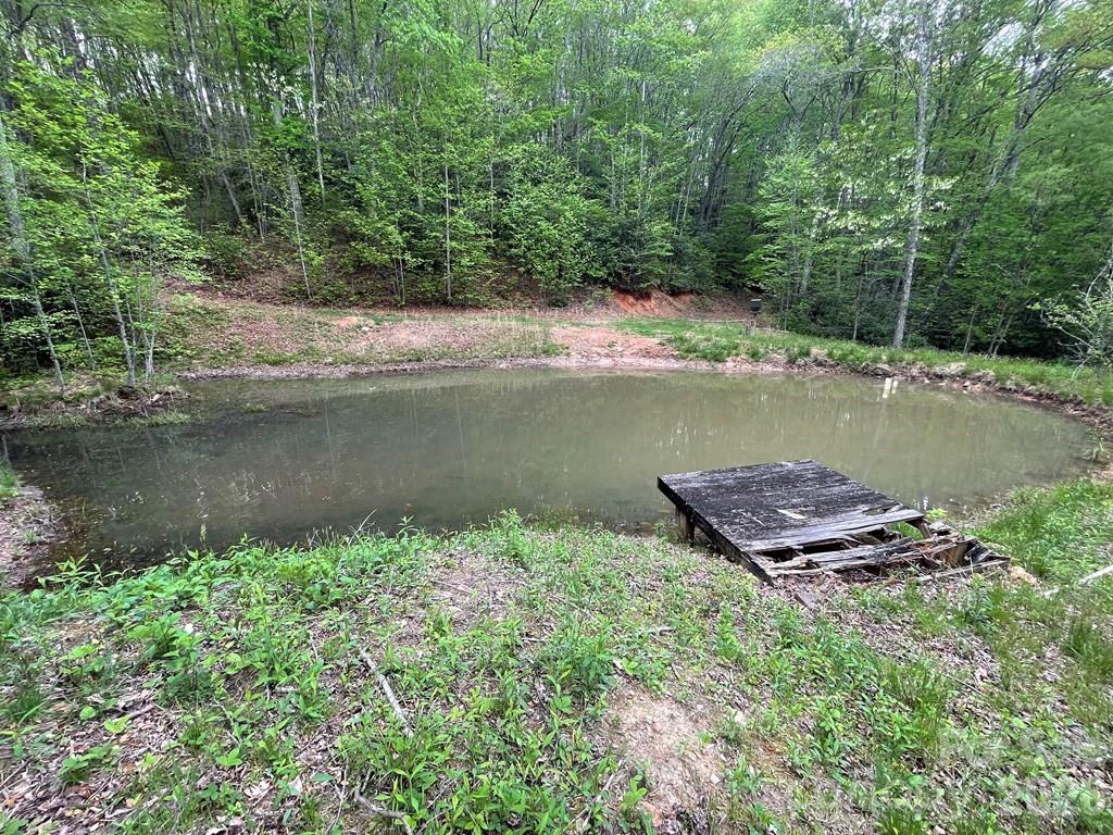930 Copperhead Cove — Sylva