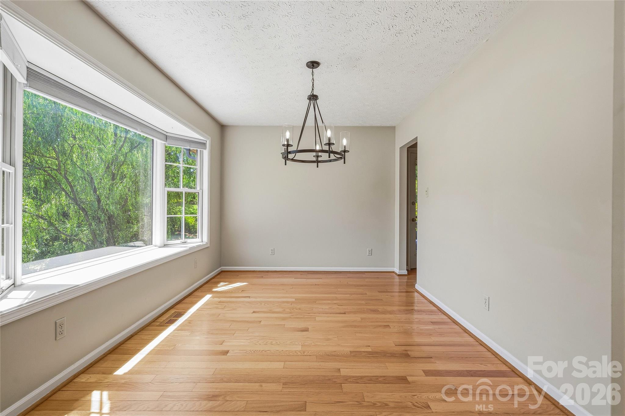 279 Woody Lane — Asheville