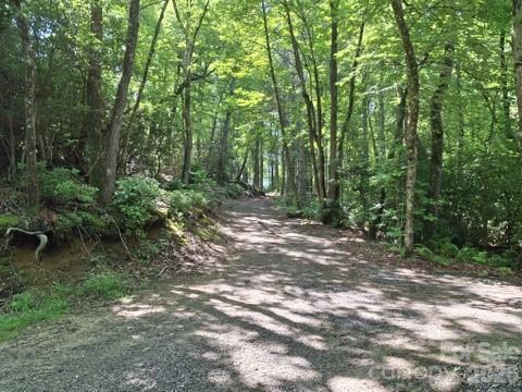 630 Shumont Road — Black Mountain