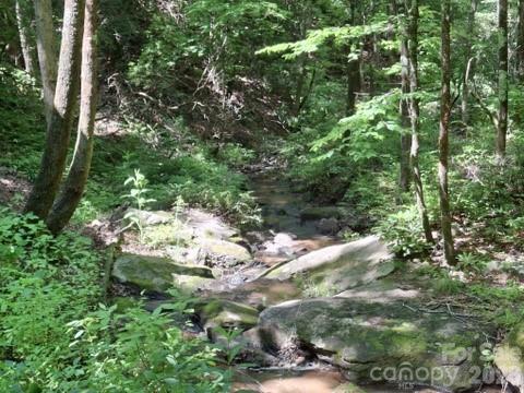 630 Shumont Road — Black Mountain