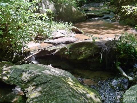 630 Shumont Road — Black Mountain