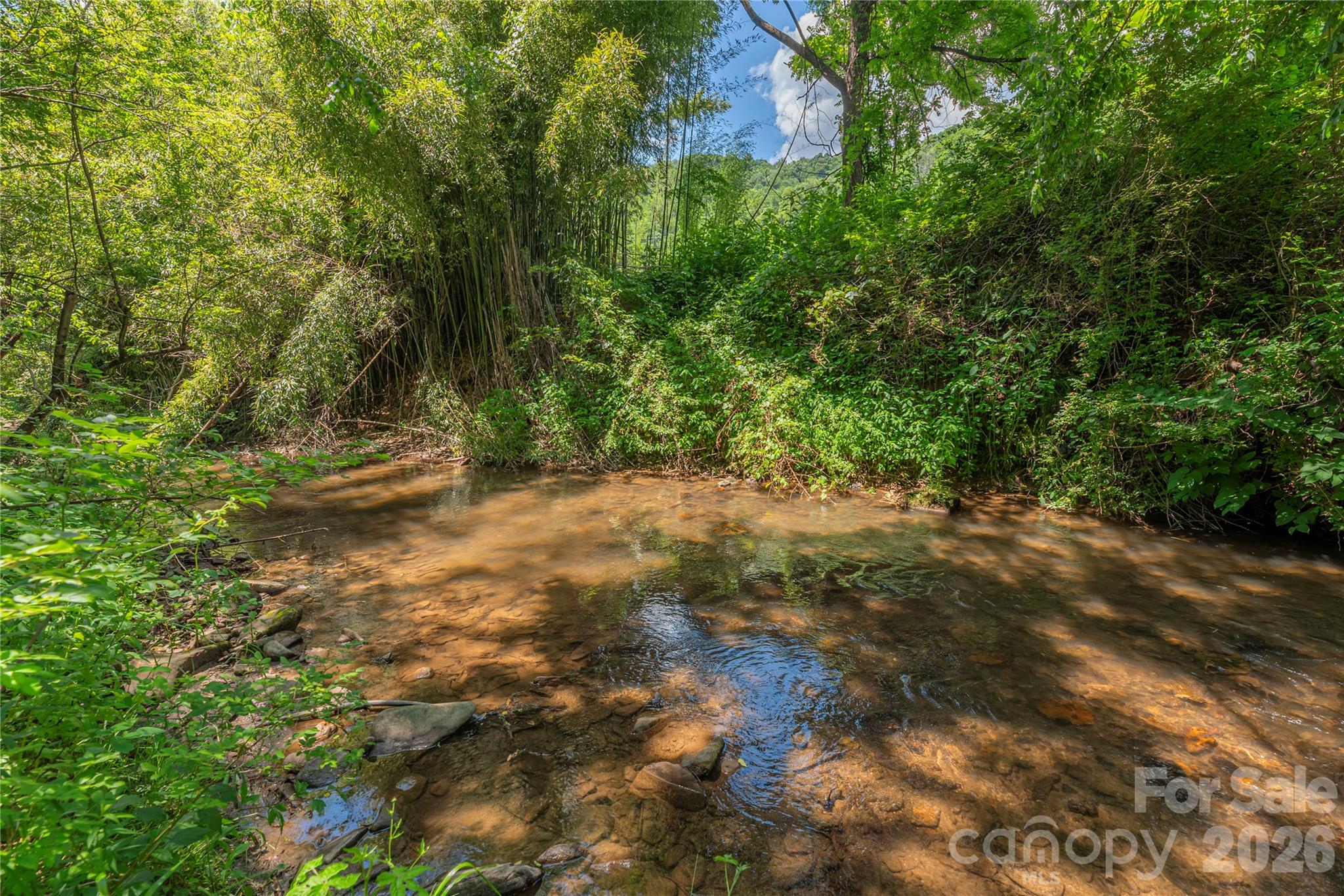 1458 Old Balsam Road — Waynesville