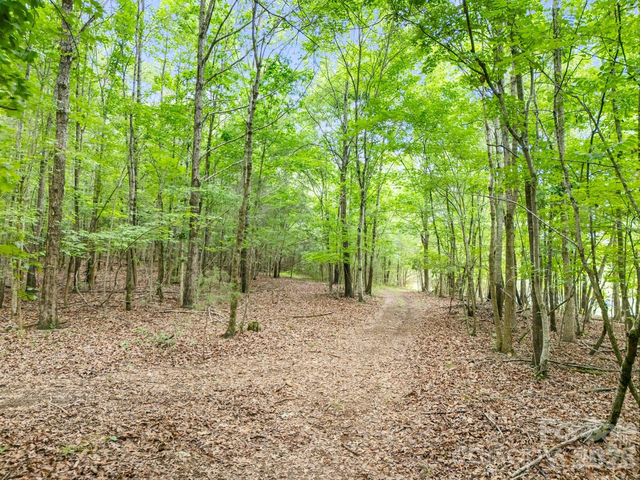 1151 Trull Hinson Road — Wingate