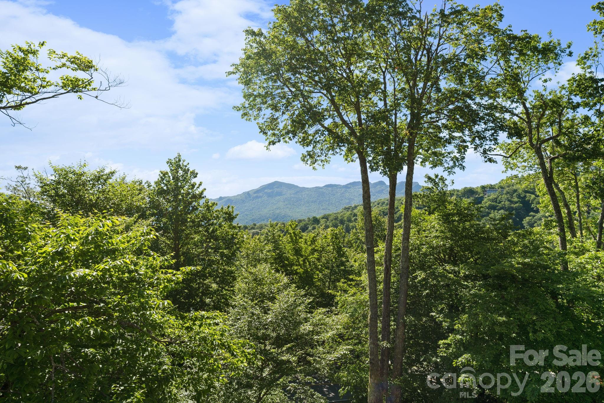 569 Shelter Rock Circle — Sugar Mountain