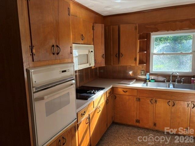 255 Glengarnock Road — Tryon