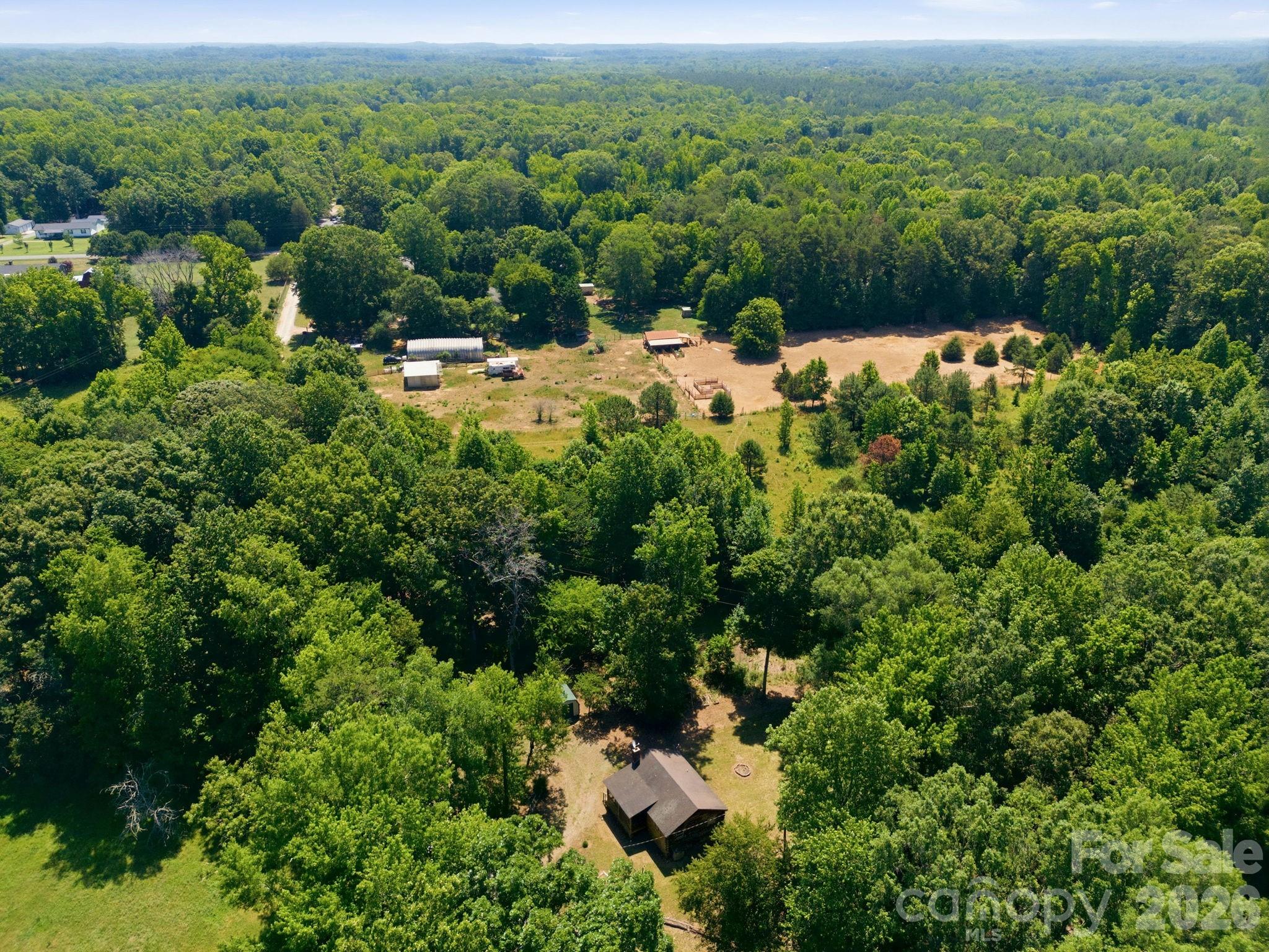 1115 Fiddler Brown Drive — Rockwell