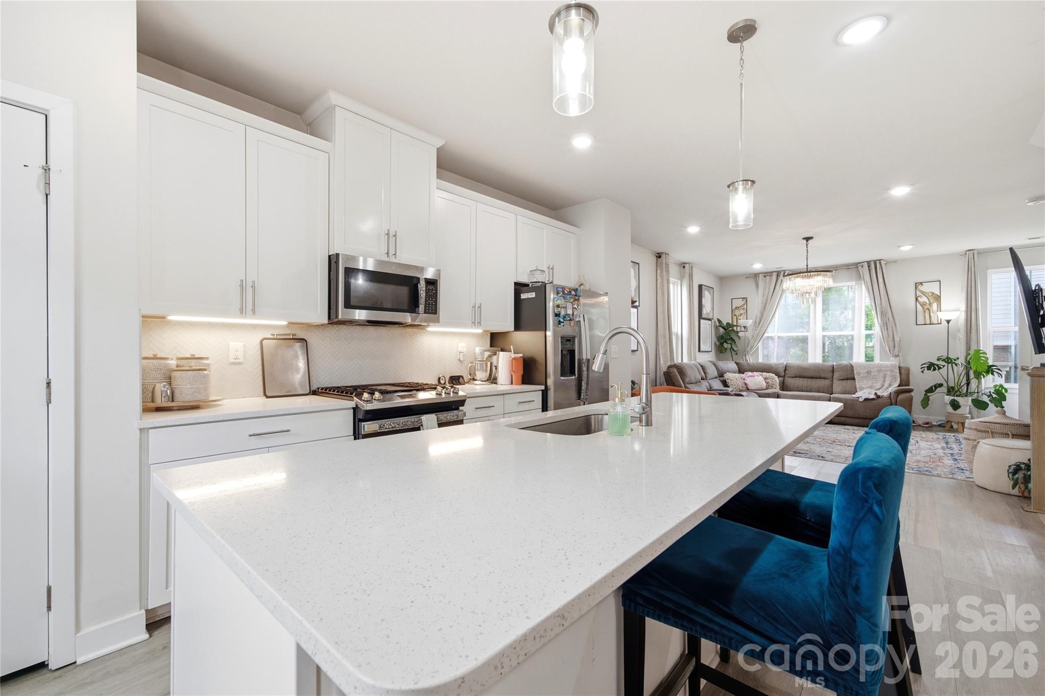 9116 Mallard Mills Drive — Charlotte