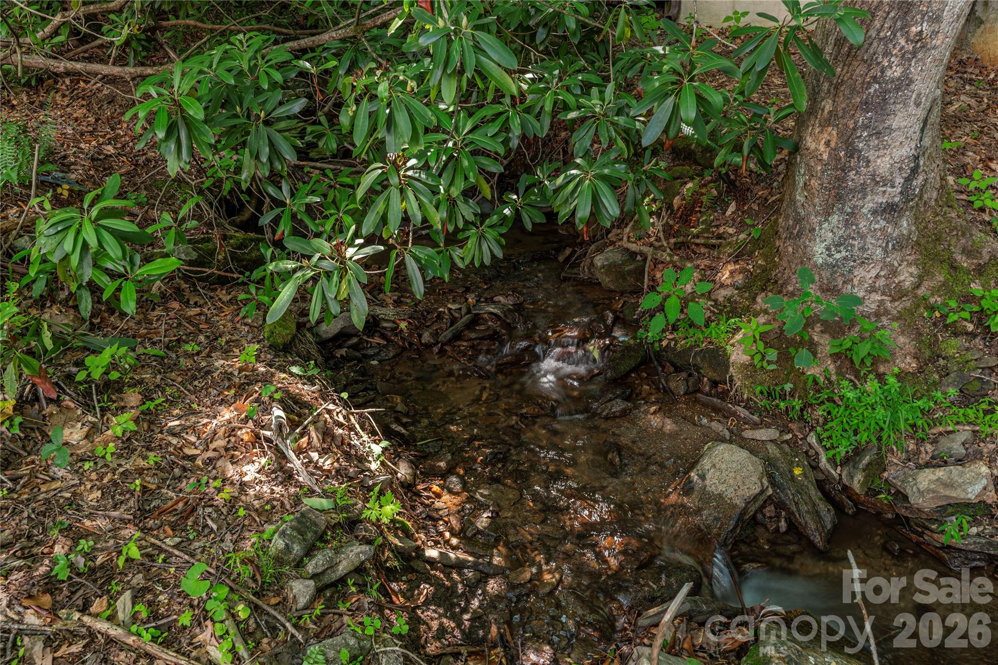 484 Twinbrook Lane — Maggie Valley
